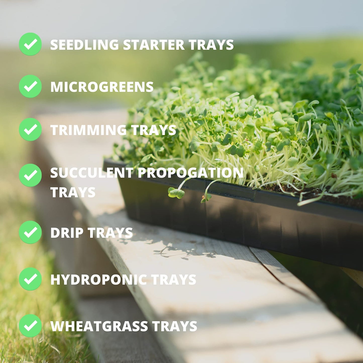 1020 Seed Starting Trays - 5-Pack Reusable Plastic Germination Trays for Microgreens & Seedlings