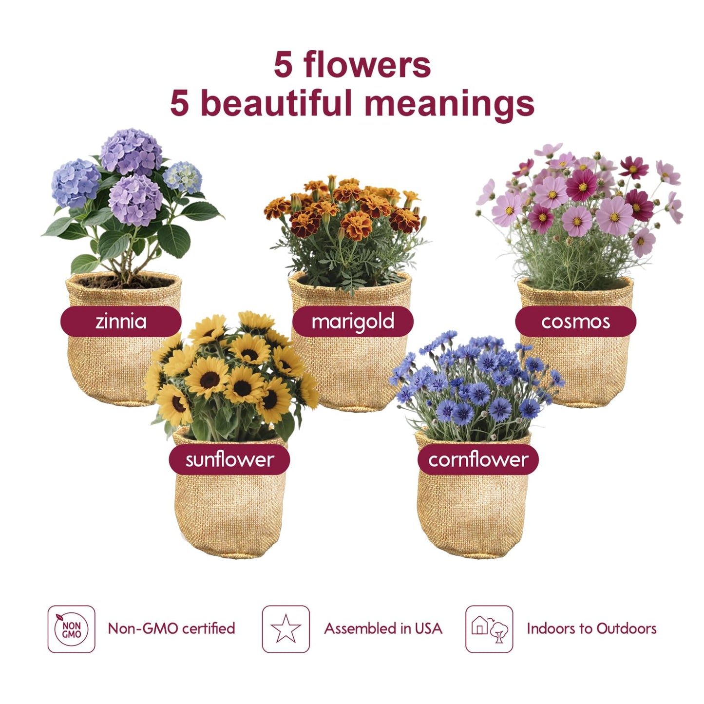 Herbsy 5 Indoor Flower Growing Kit, Complete Planting Starter Set with Sunflower, Zinnia, Marigold, Cosmos, Cornflower Seeds, Unique Birthday and Christmas Gifts for Women, Men, Plant Lovers