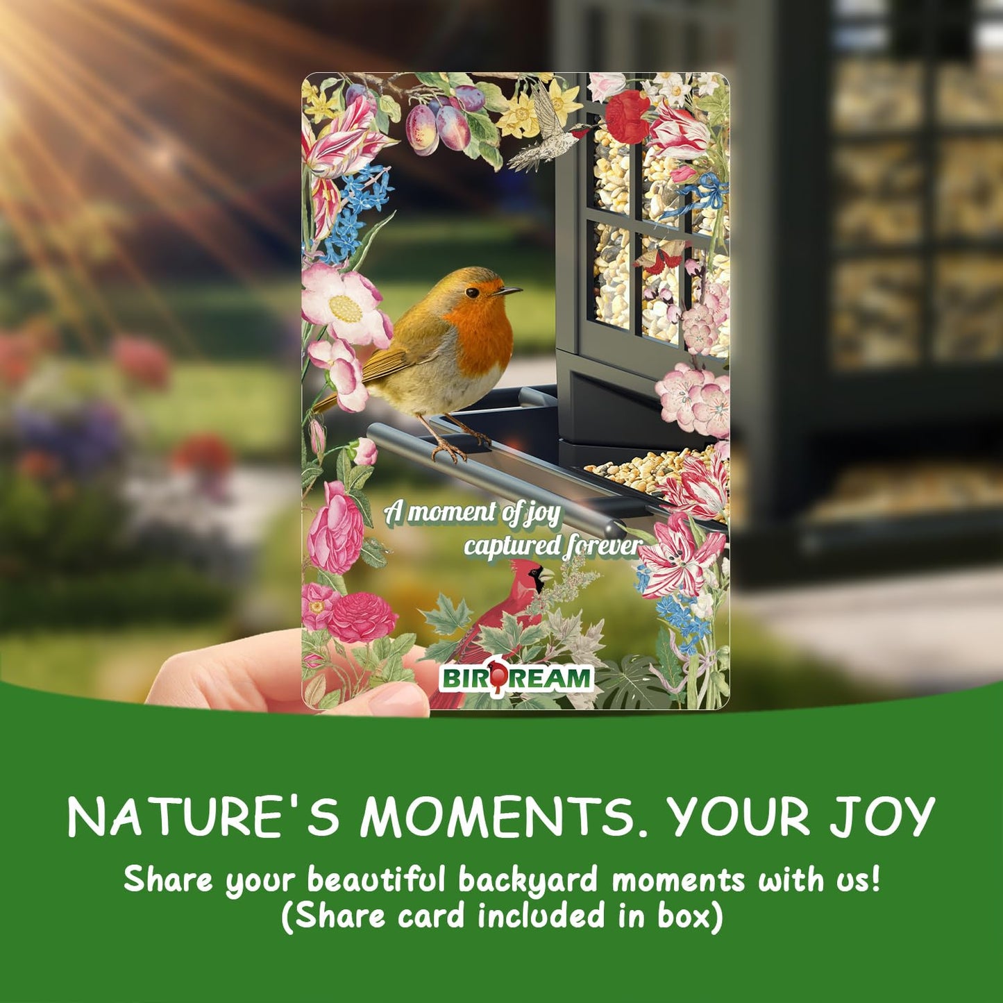 Birdream 2 Pack Bird Feeders for Outdoor Hanging, Assembly Required, 1-Min Easy Setup, Classic Courtyard Design, Attracting Cardinals Chickadees Goldfinches & Sparrows, Total 7 LB - Black