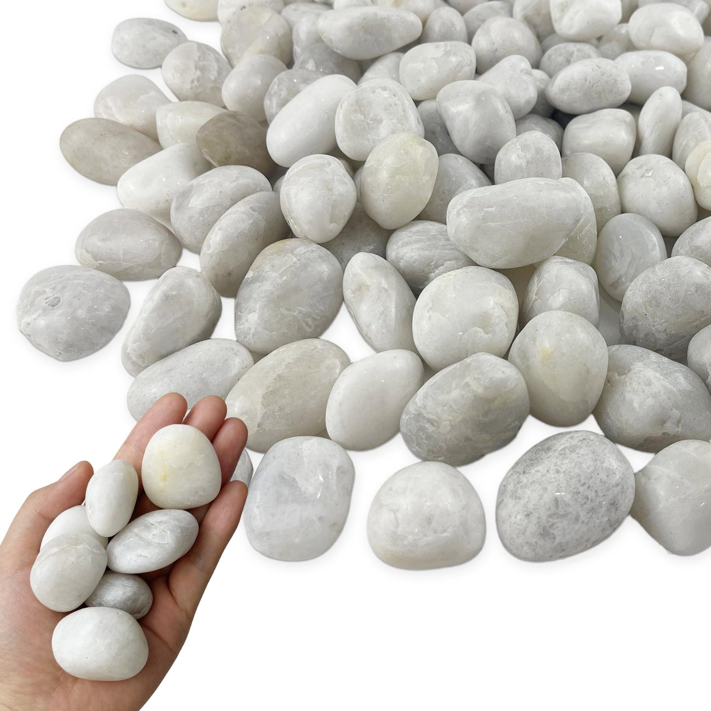 Garrdeen 5LB White River Rocks, High Polished 1–2 inch Decorative Pebbles for Indoor Plants, Aquarium & Fish Tank Rocks, Garden Landscaping Stones, Vase Fillers, Lava Rocks for Plants & Pathway Decor