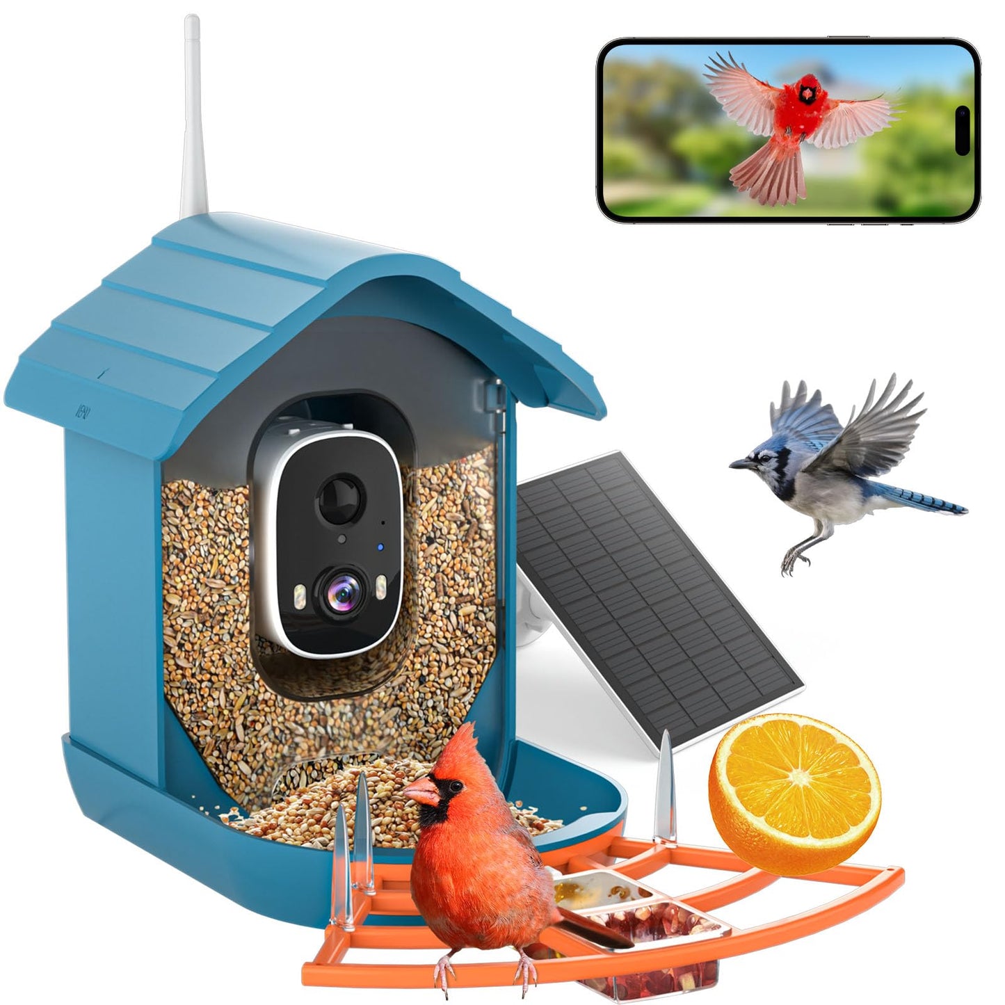 Bird Feeder with Camera, AI Bird Identification, Full HD Live Video, Solar Powered, 2.4Ghz WiFi, Instant Arrival Alerts - Best Gifts for Bird Lover