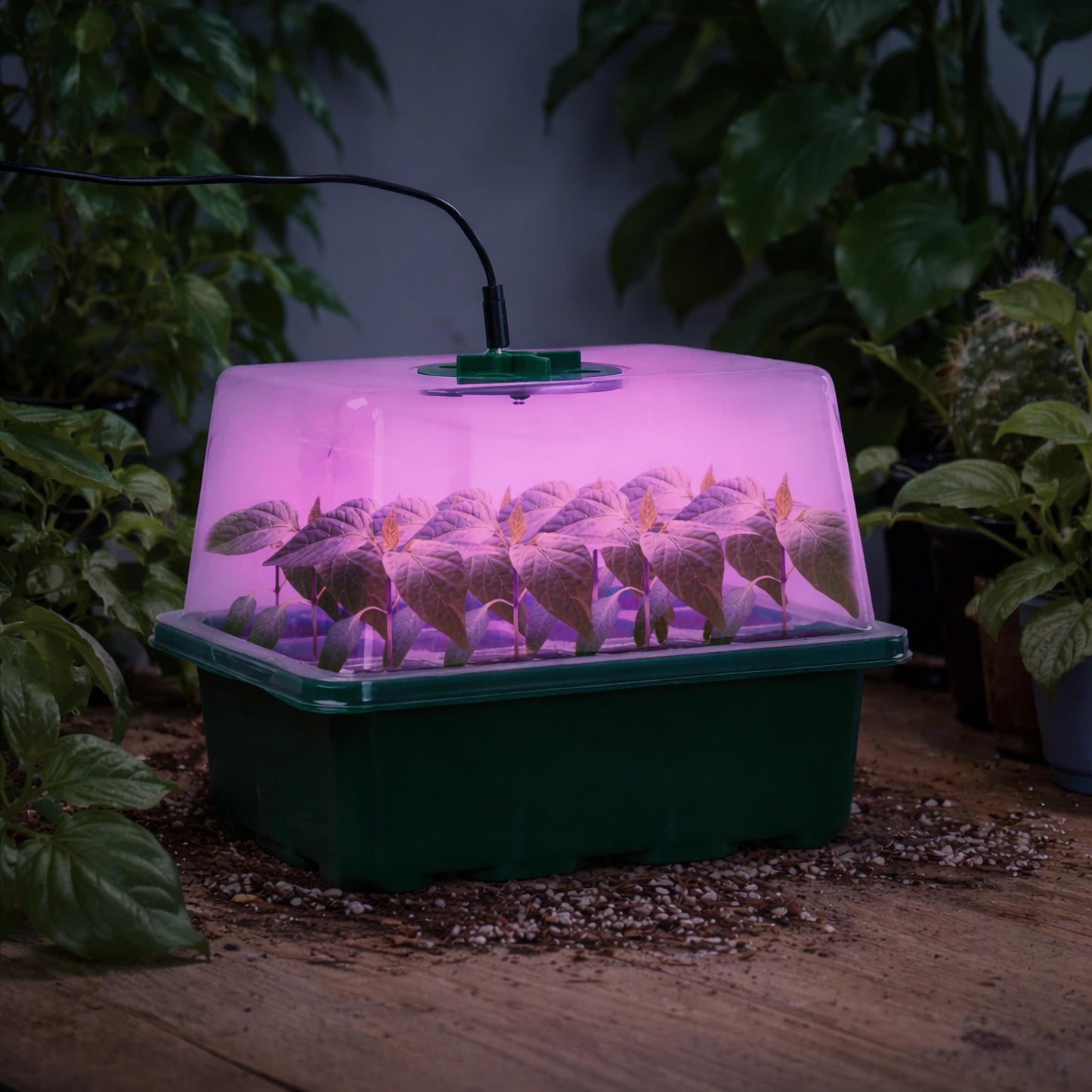 Bonviee 5 Packs Seed Starter Tray with Plant Light, Elevated Seedling Starter Trays Kits with Adjustable Humidity Domes and Clear Cell Tray, 12 Full Spectrum led lamp Beads for Plants Indoor-Green