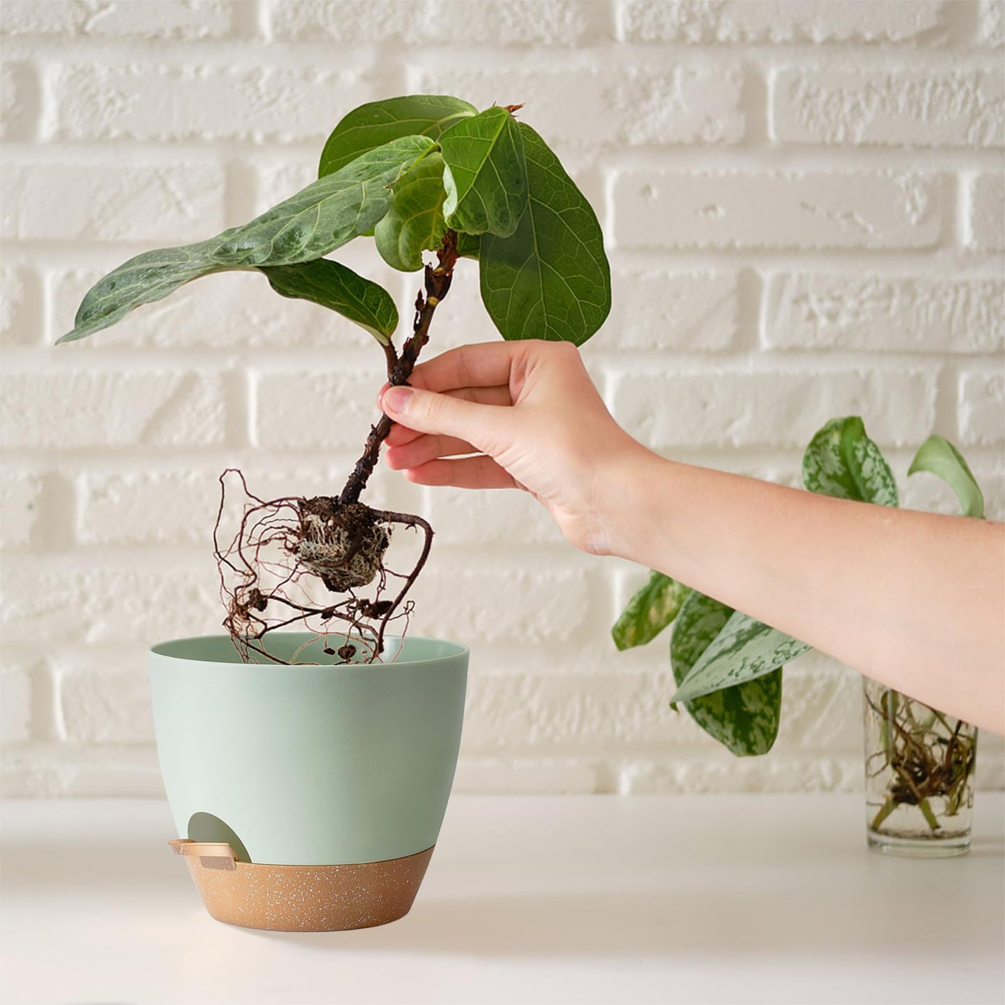 SE SUN-E Self Watering Plant Pot with Drainage Hole,Plant Pots Outdoor Flower Pots for Indoor Plants,Modern Green Plastic Self Watering Planters Succulent Pot 7pcs/Set