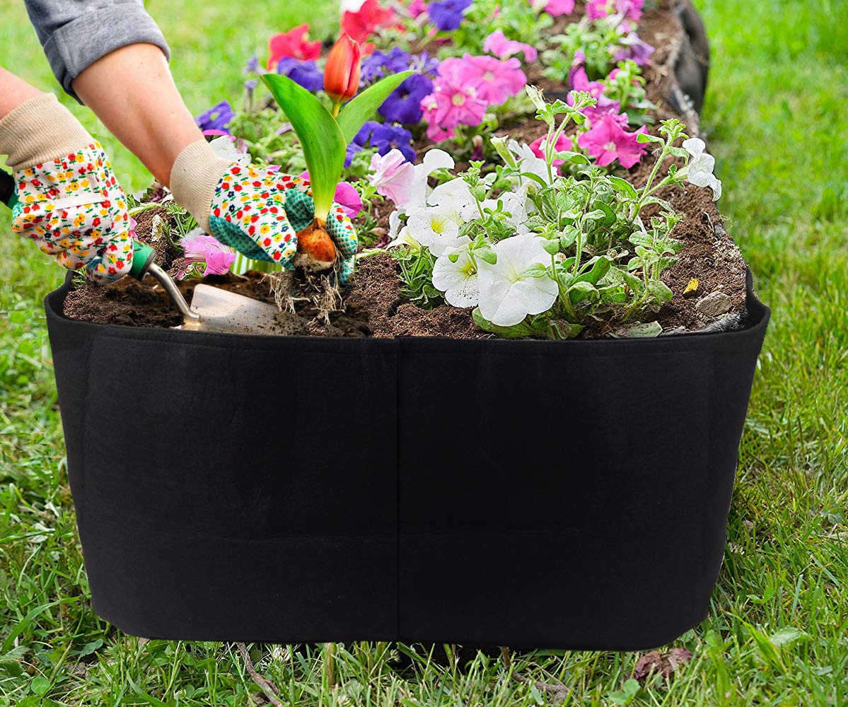 Feitore Fabric Raised Garden Bed, 2ft x 4ft Garden Grow Bags Planting Bed Rectangle Garden Containers for Vegetables Plants Flowers Outdoor