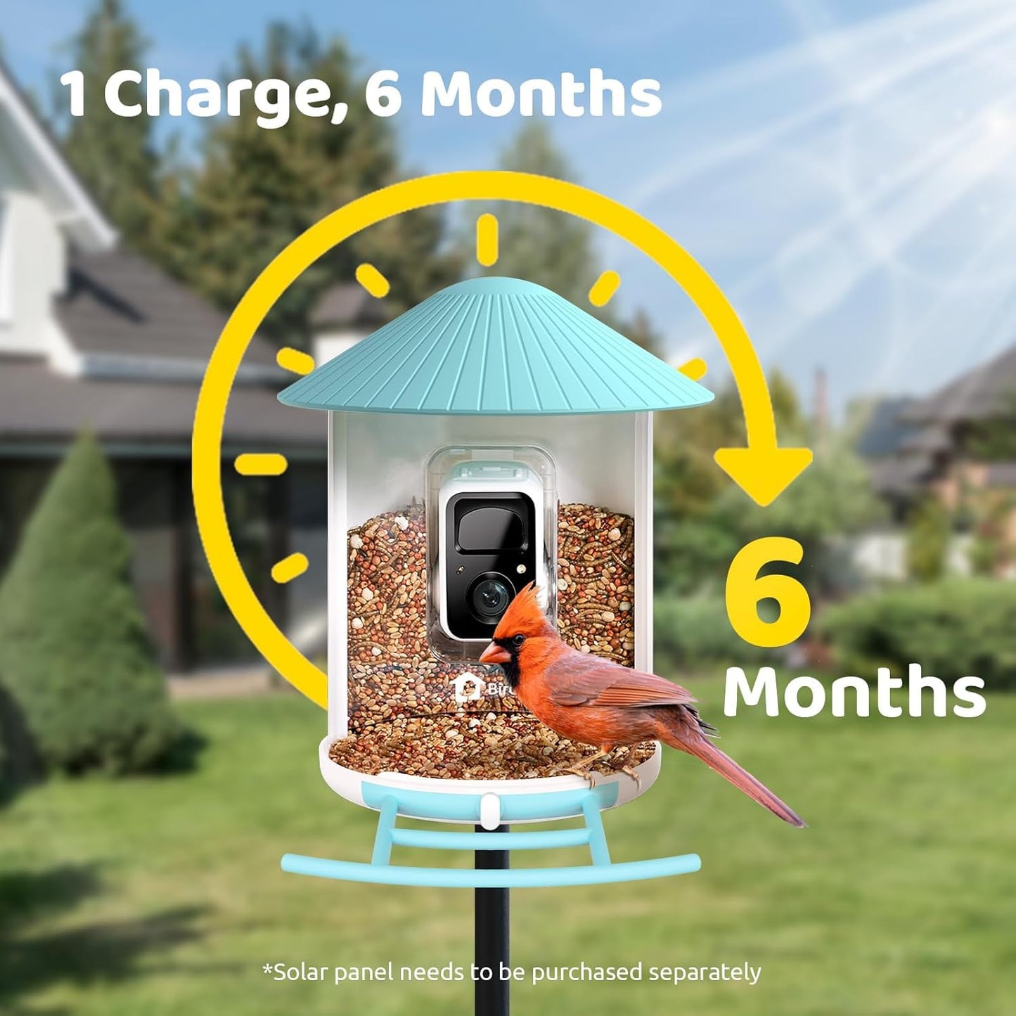 NETVUE by Birdfy Smart Bird Feeder with Camera Solar Power, Smart AI Birdwatching Camera, Auto Capture & Notify, Clear Day & Color Night Video & Pictures, Ideal Gift for Lover