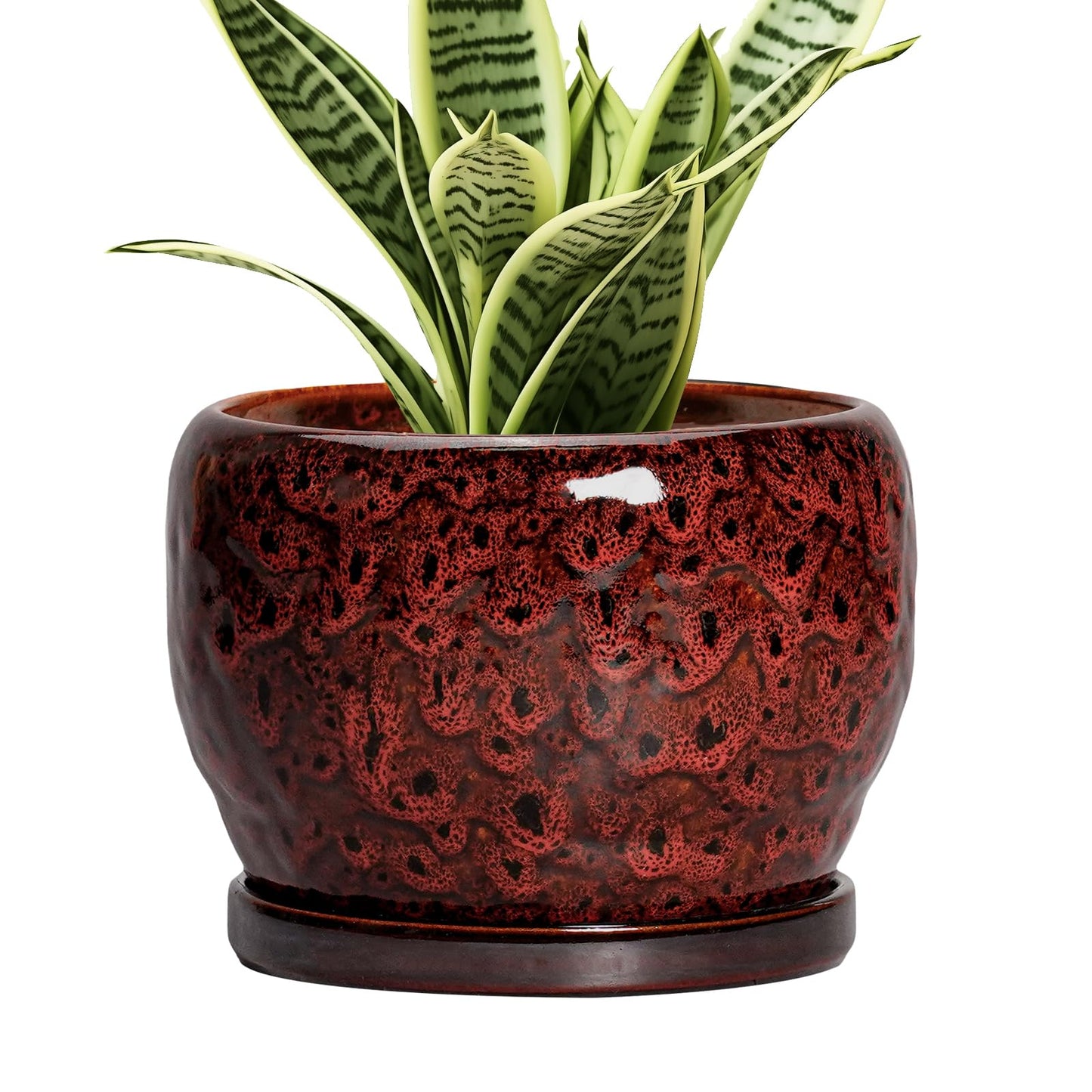 SQOWL Ceramic Pot for Plants - 6 Inch Plant Pot Indoor with Drainage Hole and Saucer, Decorative Flower Pot Outdoor, Round Succulent Planter, Front Porch Decor, House Warming Gifts New Home, Red
