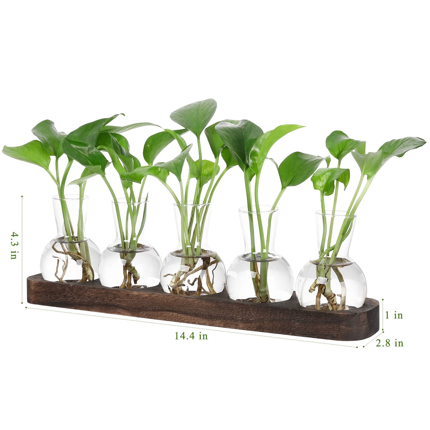 YIBOT Plant Propagation Stations,Glass Propagation Vases for Plants Terrarium with Wooden Tray Plant Lover Gifts for Propagating Hydroponic Plants Home Office Decor(5 Vase)
