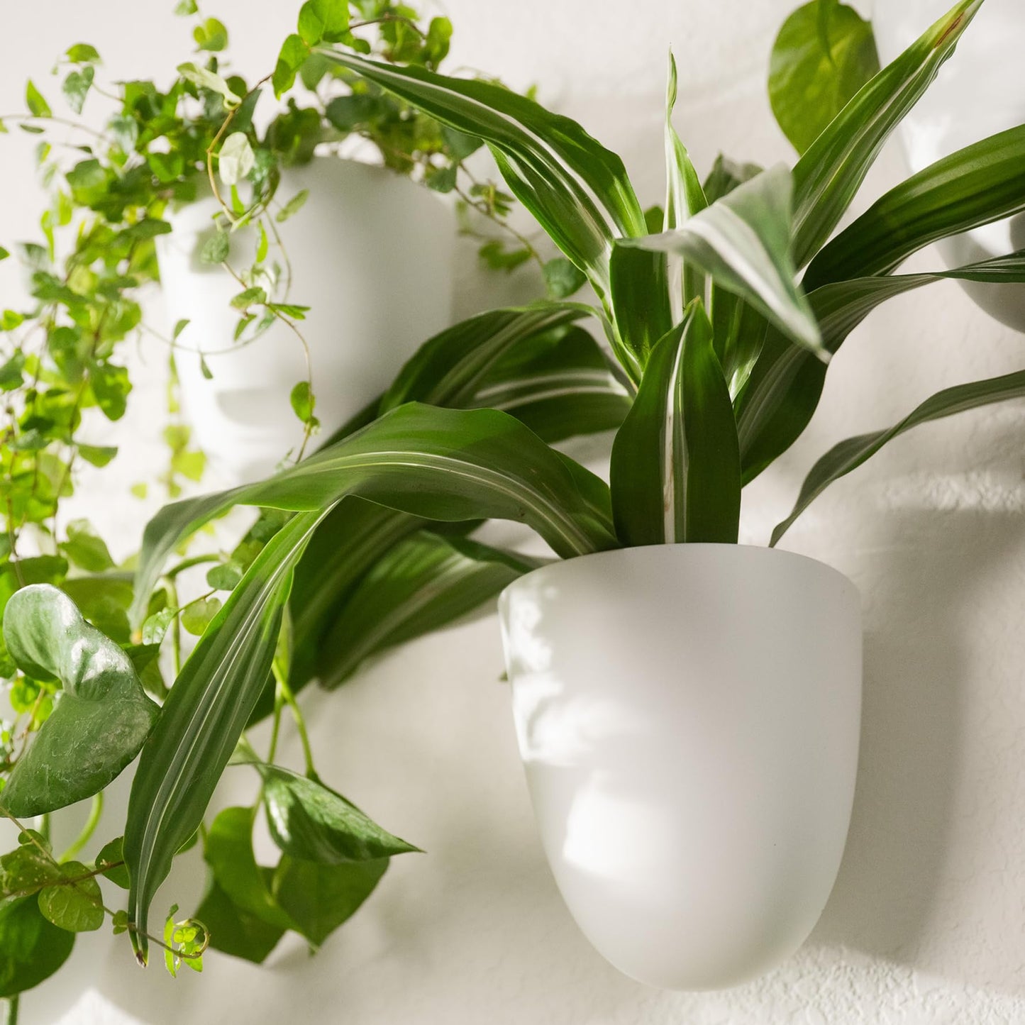 PlantPod Classic - Self-Watering Wall Planters (9, White) - Easy to Water and Install - Lightweight - Design Your Own Vertical Garden - Wall Planters for Indoor Plants