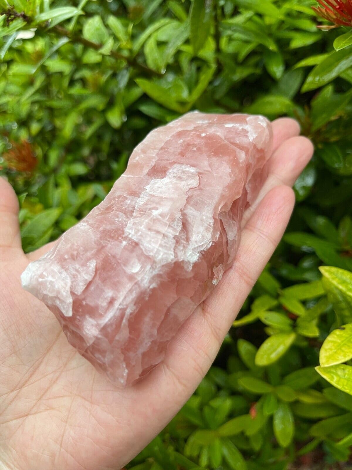 GAF TREASURES XL Strawberry Calcite Stone, 3-4" Natural Strawberry, Raw Calcite Healing Crystal (Strawberry Calcite, 0.5-1 lb)