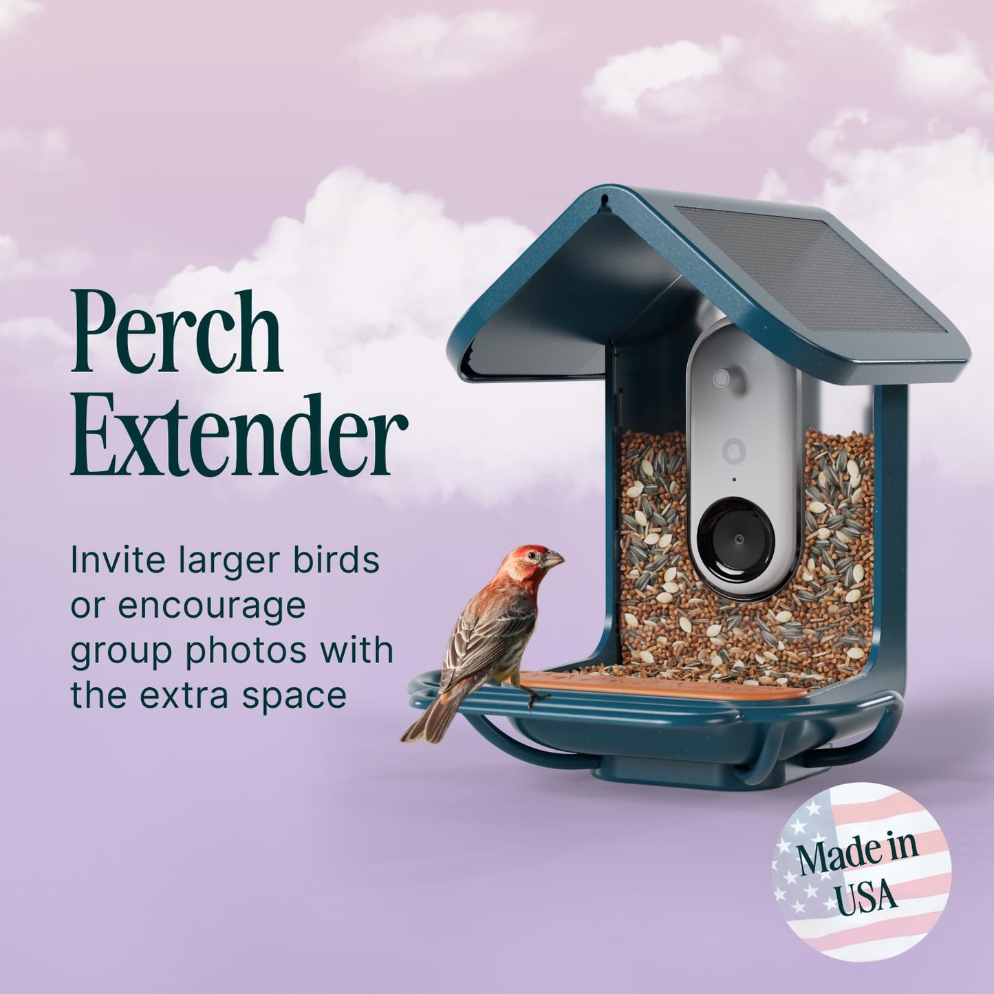 Birdbuddy Blue Perch Extender – Add-On Accessory for Better Watching Experience - Outdoor Bird Perch - Weatherproof and Durable