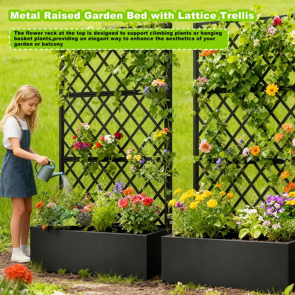 Metal Planter Box with Privacy Screen Trellis,Galvanized Raised Garden Bed On Wheels for Climbing Plants Vines, Standing Garden Flower Bed with Drainage Holes (Black, 35" L x16 W x 73" H)