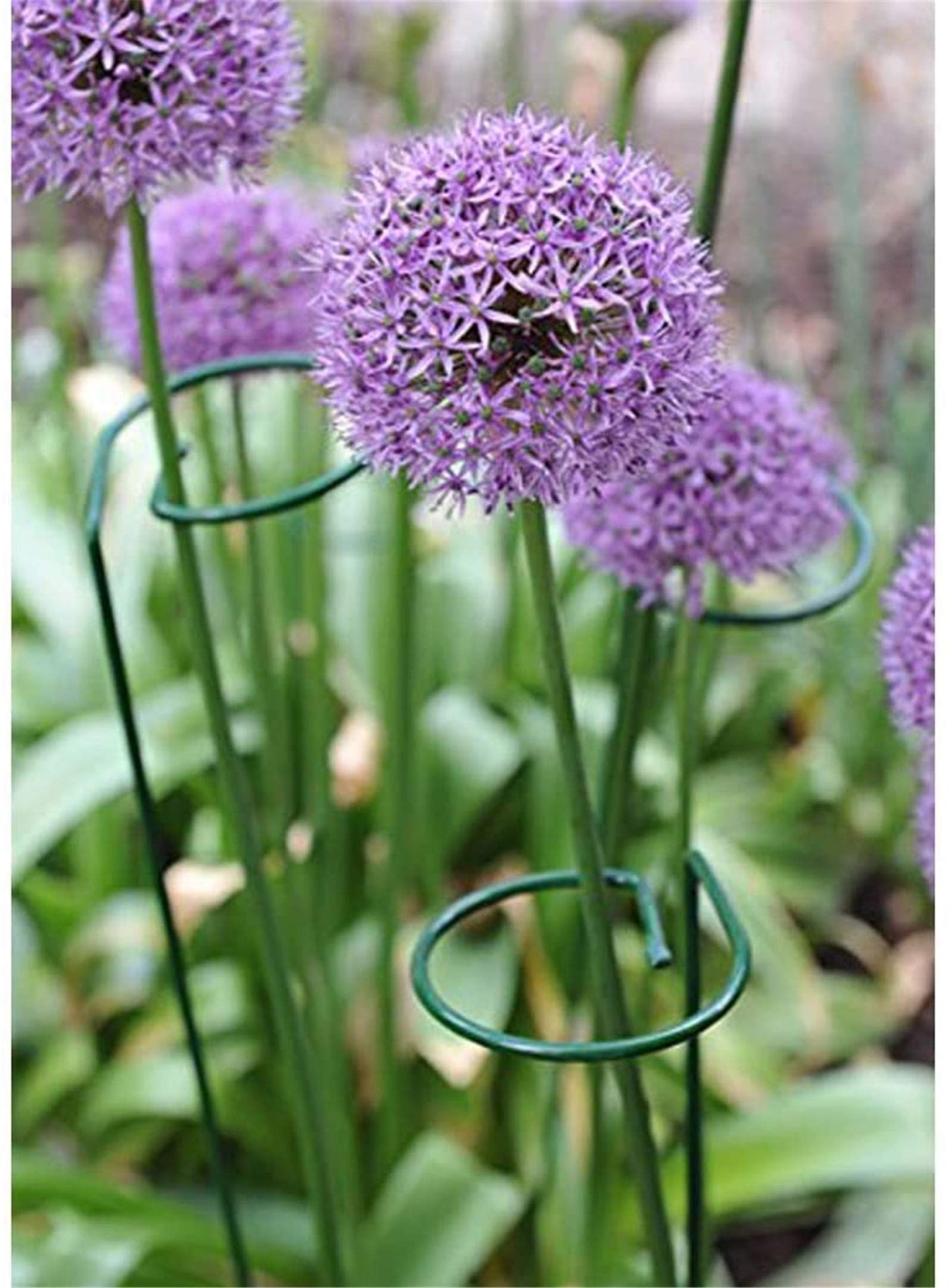 Tingyuan 24 Inches Single Stem Plant Support Stakes Steel Garden Stakes Plant Atem Support, Pack of 20