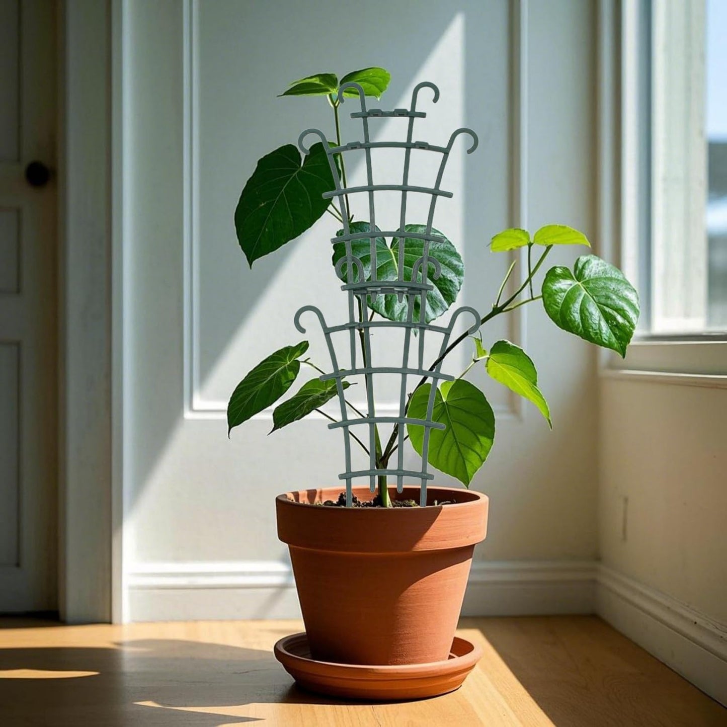 Plant Trellis for Potted Plants, Small Trellis for Climbing Plants Indoor, Plant Trellis Outdoor, Stackable Plastic Garden Trellis Support for Climbing Vines, Hoya, Pothos, Houseplants (10)