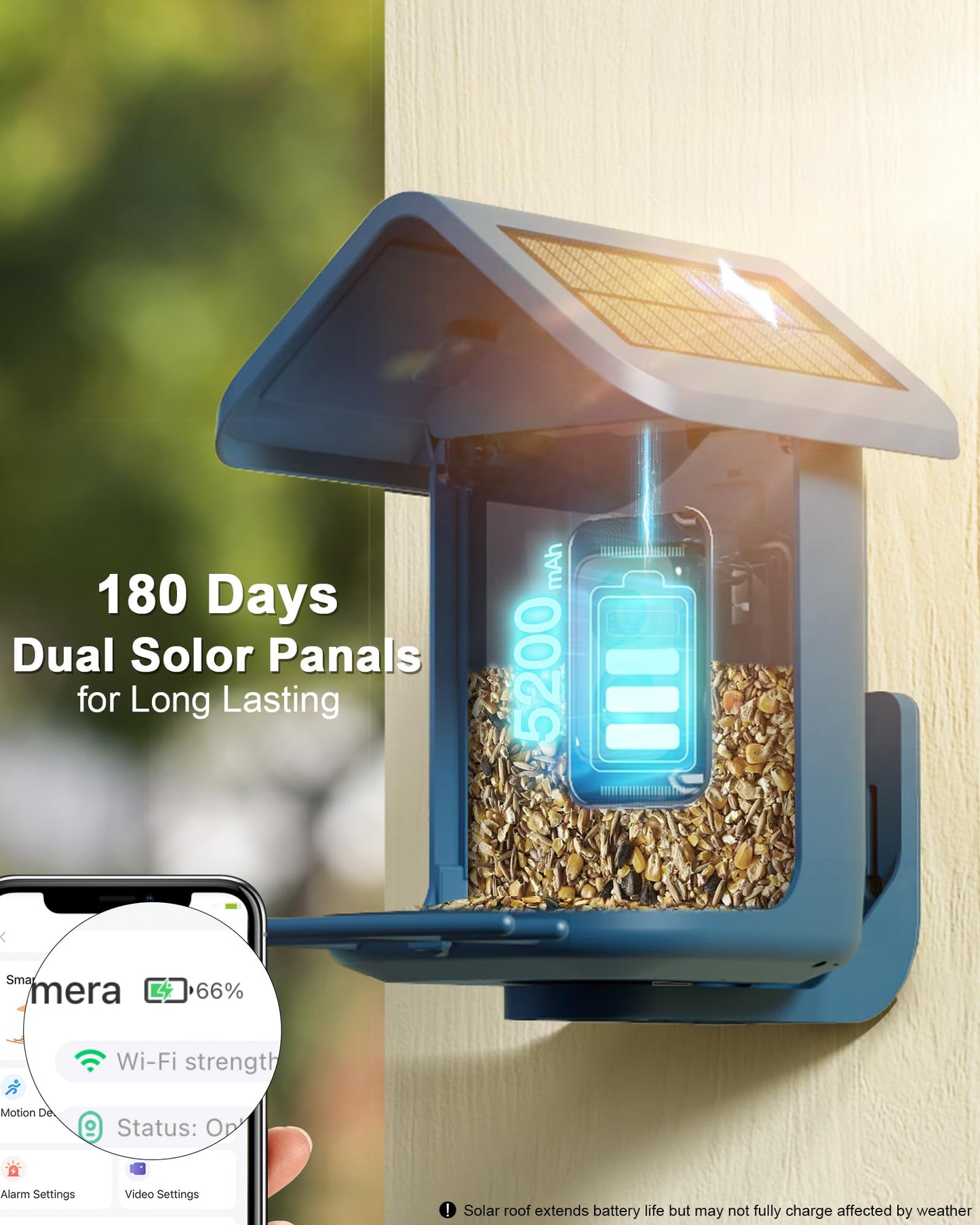 Bird Feeder with Camera Solar Powered : Smart Camera Bird Feeder 2K Live Feed Cam for Outdoor Backyard - Ai Identify Auto Capture Videos Pictures, Gifts for Birdlover Mom Dad, 2.4GHz WiFi