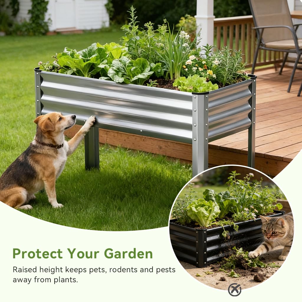 COMHOMA 2 Pack Raised Garden Bed with Legs 4x2x2.5ft,Large Elevated Galvanized Metal Planter Box with Drainage Holes,Outdoor Growing Kit with Gloves Tools for Backyard Patio Lawn,Sliver