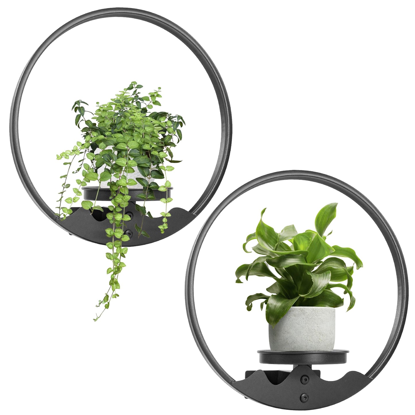 Aunulahca Round Picture Frame Wall Plant Holder Black Wall Hanging Planters Metal Window Plants Shelf Plant for Indoor Outdoor Garden Rockery Decoration 2 Pack