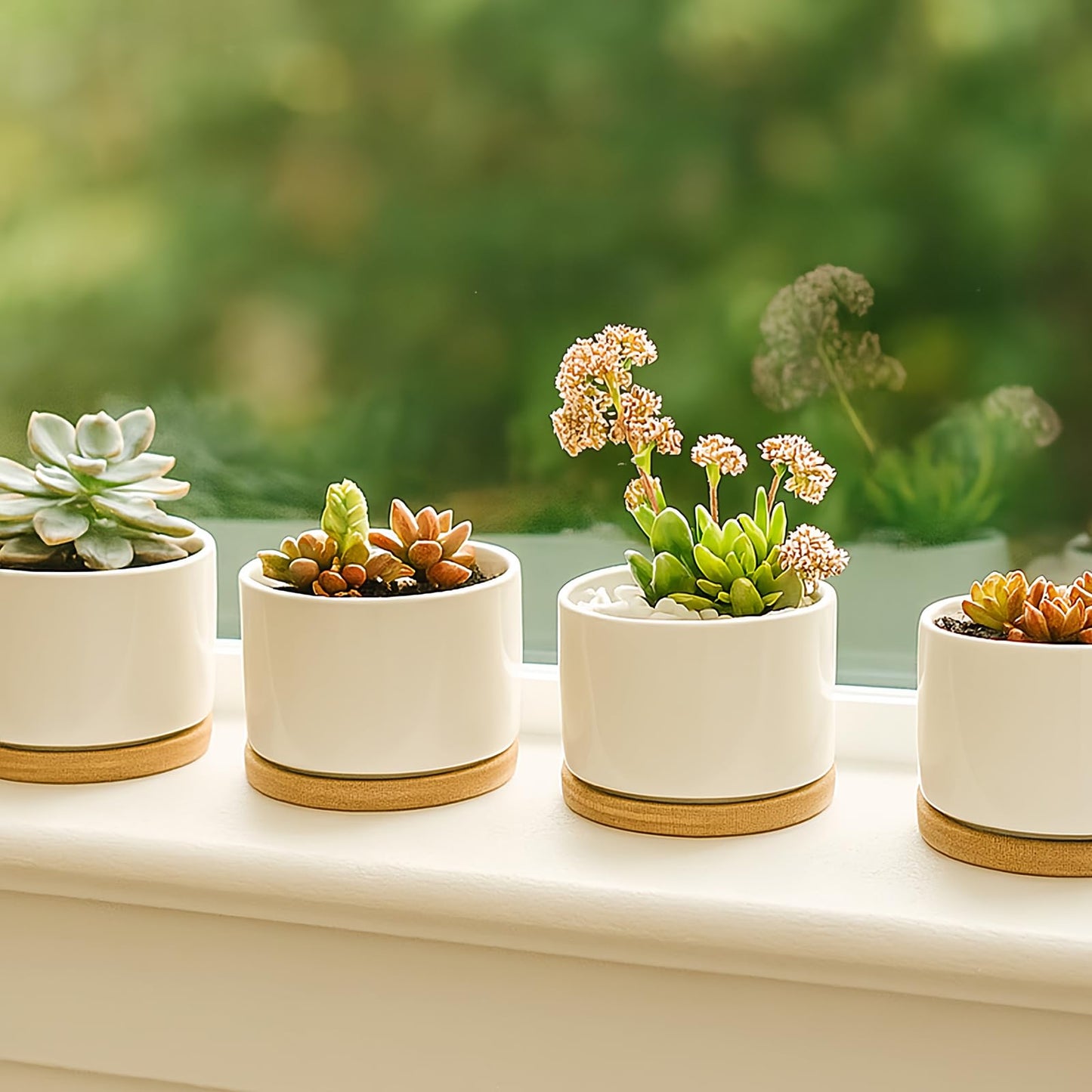 ZOUTOG Ceramic Succulent Pots,3.6 Inch Plant Pots,Succulent Planters with Drainage Hole & Bamboo Tray for Indoor Plants,White Small Flower Planters for Home,Office,Desk(6 Pack)