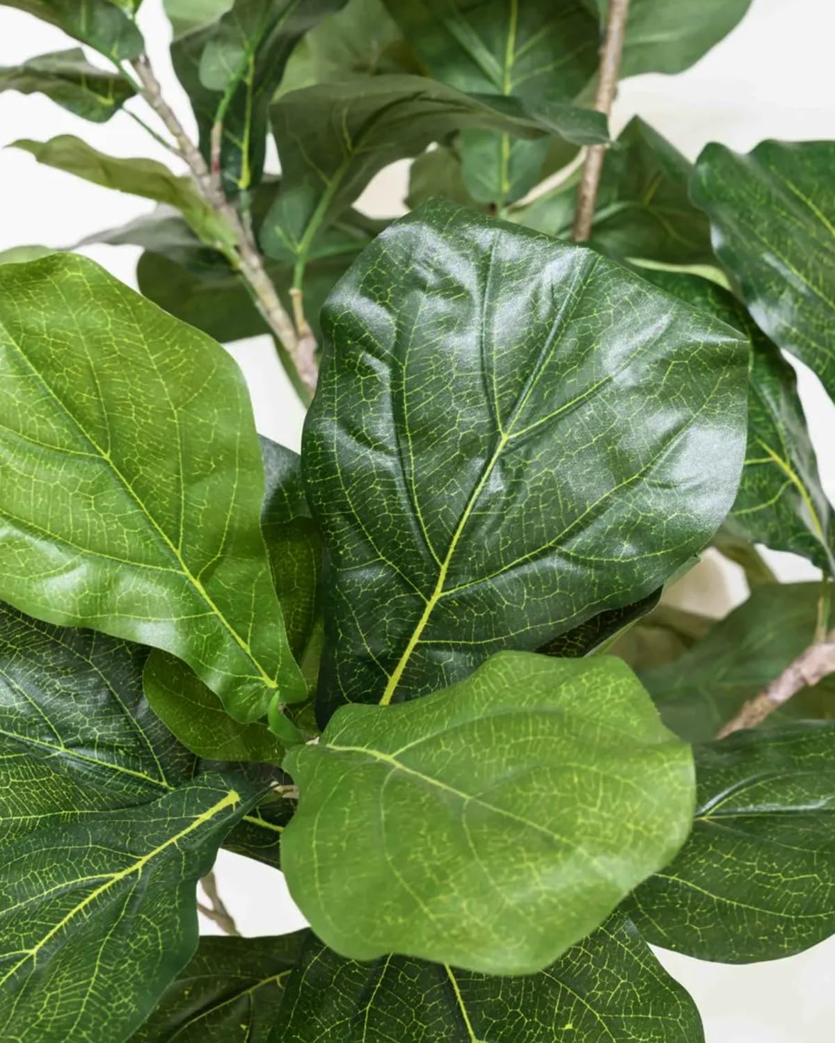 LuceAlberi Artificial Fiddle Leaf Fig Tree 6FT - Large Fake Tree with White Planter, Tall Faux Ficus Lyrata Tree Floor Plants for Indoor Home Decor Office Living Room Housewarming Gift, 1Pack
