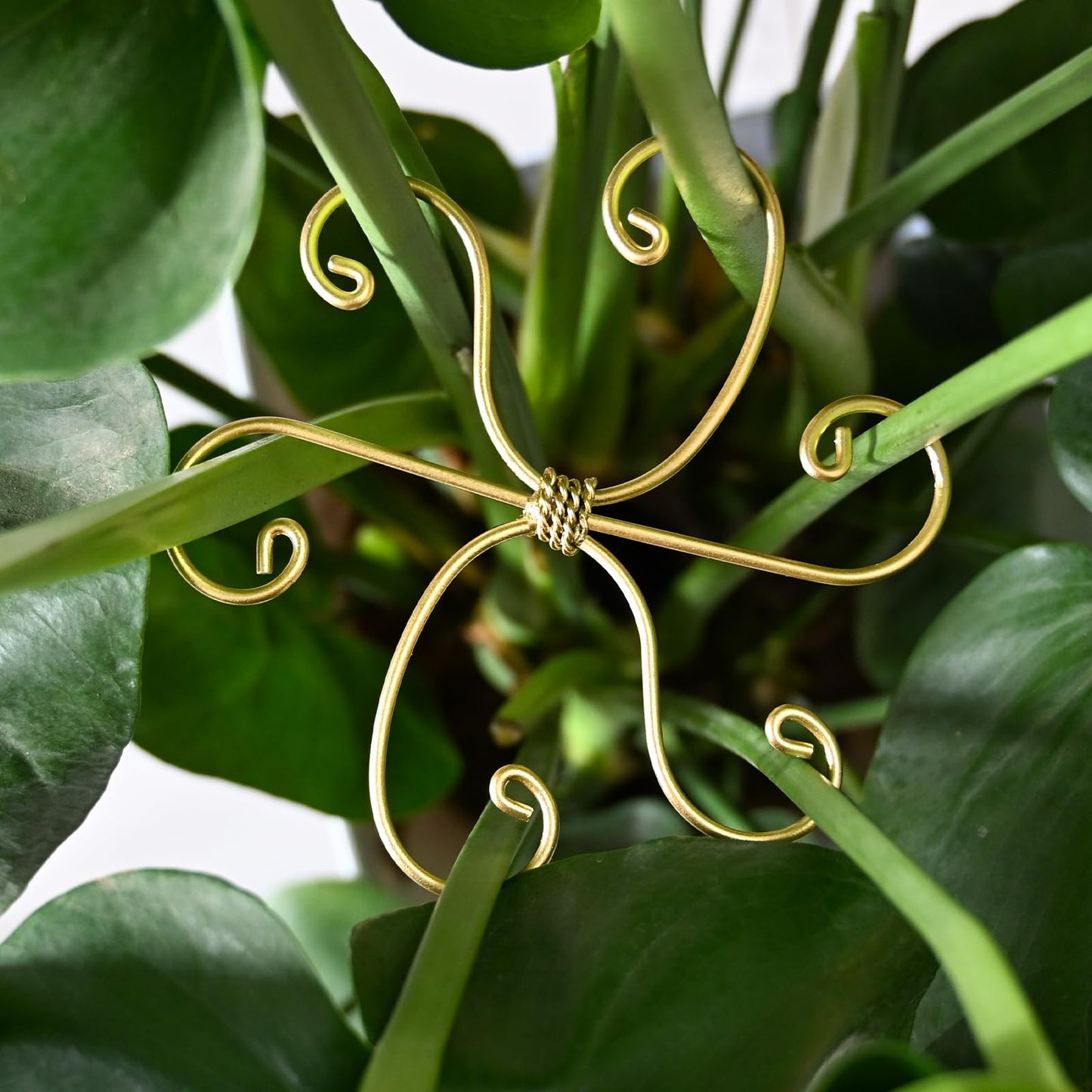 5PCS Monstera Plant Stem Support Stakes - 5.5 * 5.5IN Metal Supports for Monstera and Fishbone Cactus, Sturdy Frame, Easy Installation, Flexible Protection for Healthy Growth Indoors