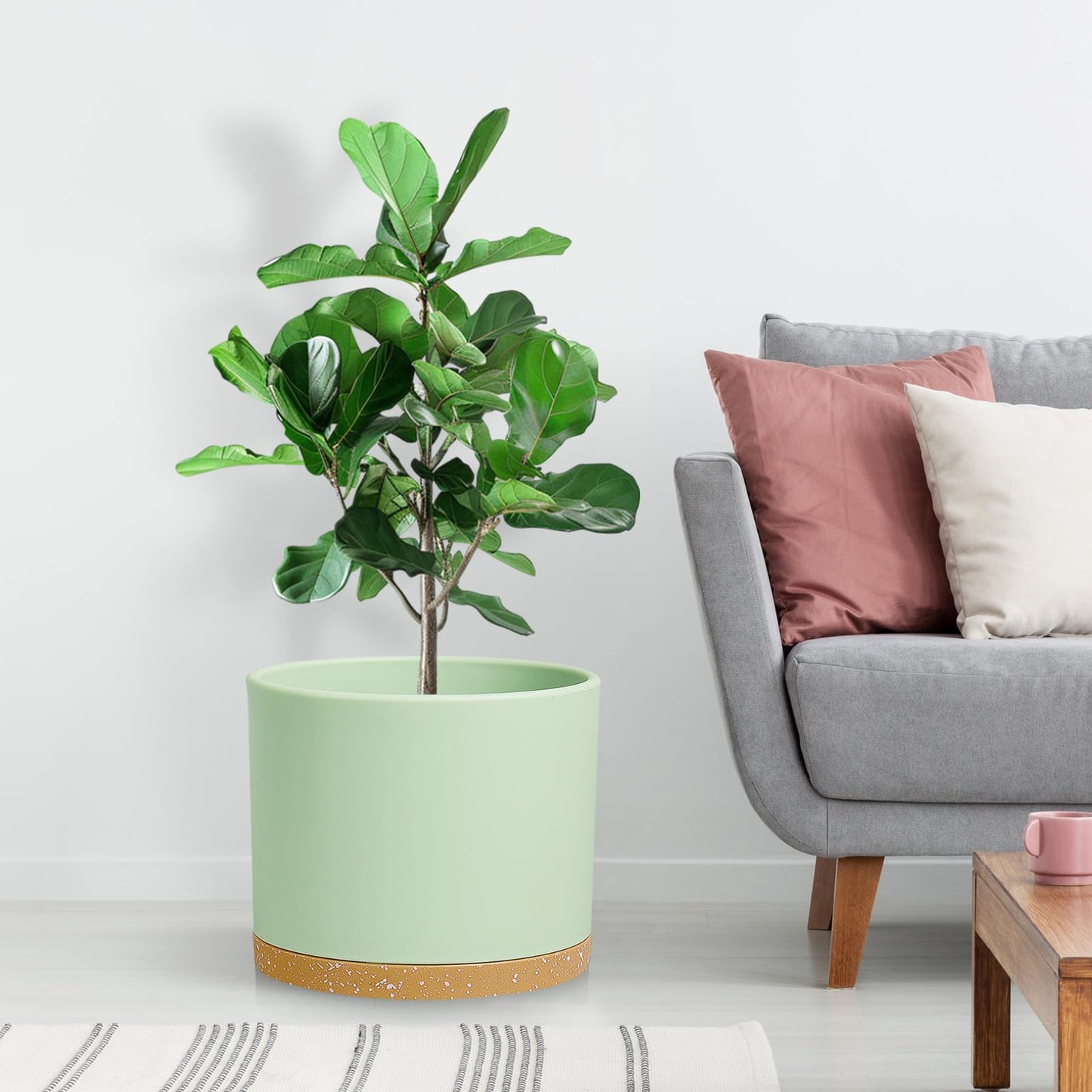 DGJDLWHX Large Plant Pots Set of 3 – 8", 9", 10" Indoor Flower Pots with Drainage Holes and Saucers, Big Planters for Monstera, Fiddle Leaf Fig, Snake Plant – 5 Colors