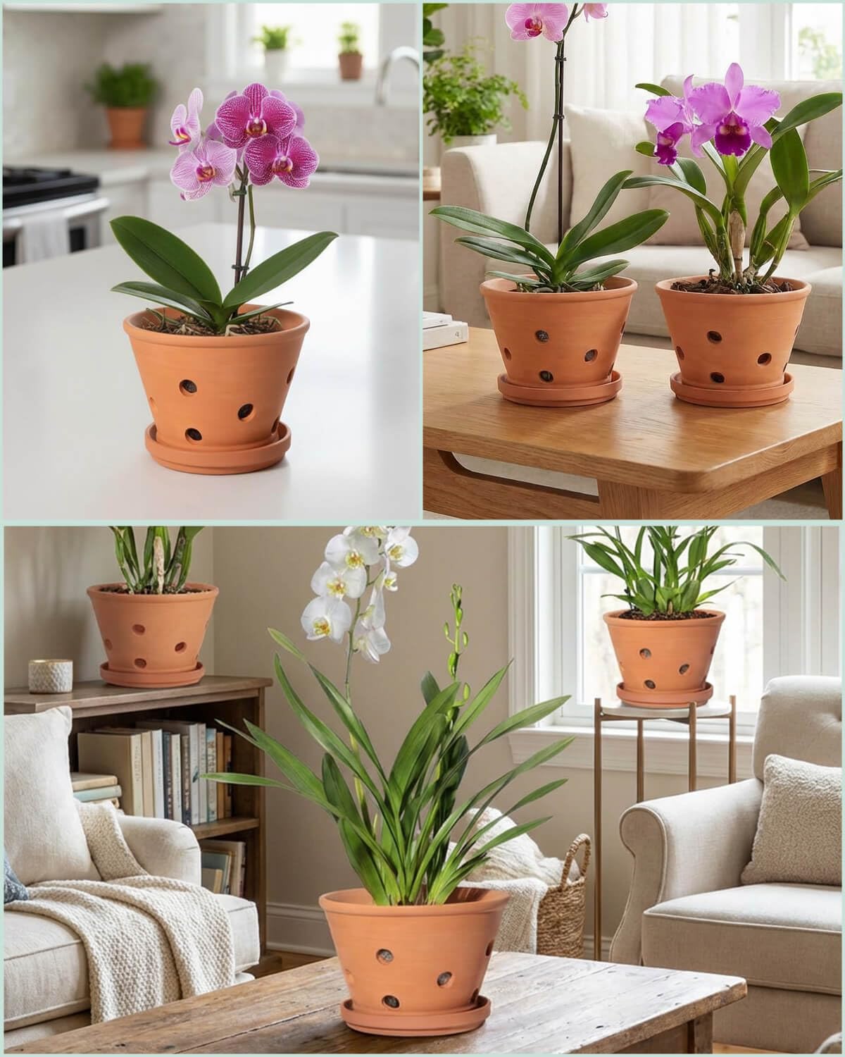 vensovo Terracotta Orchid Pots with Holes and Saucers - Clay Orchid Planter Pots for Repotting, Plant Flower Pots for Orchid Indoor and Outdoor Promotes Air Circulation