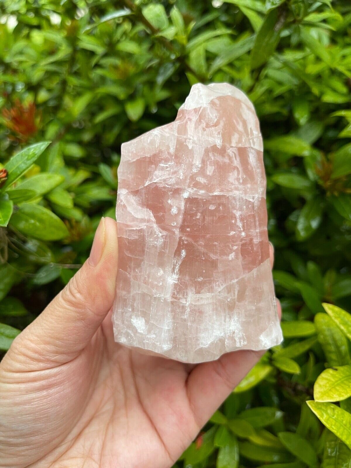 GAF TREASURES XL Strawberry Calcite Stone, 3-4" Natural Strawberry, Raw Calcite Healing Crystal (Strawberry Calcite, 0.5-1 lb)
