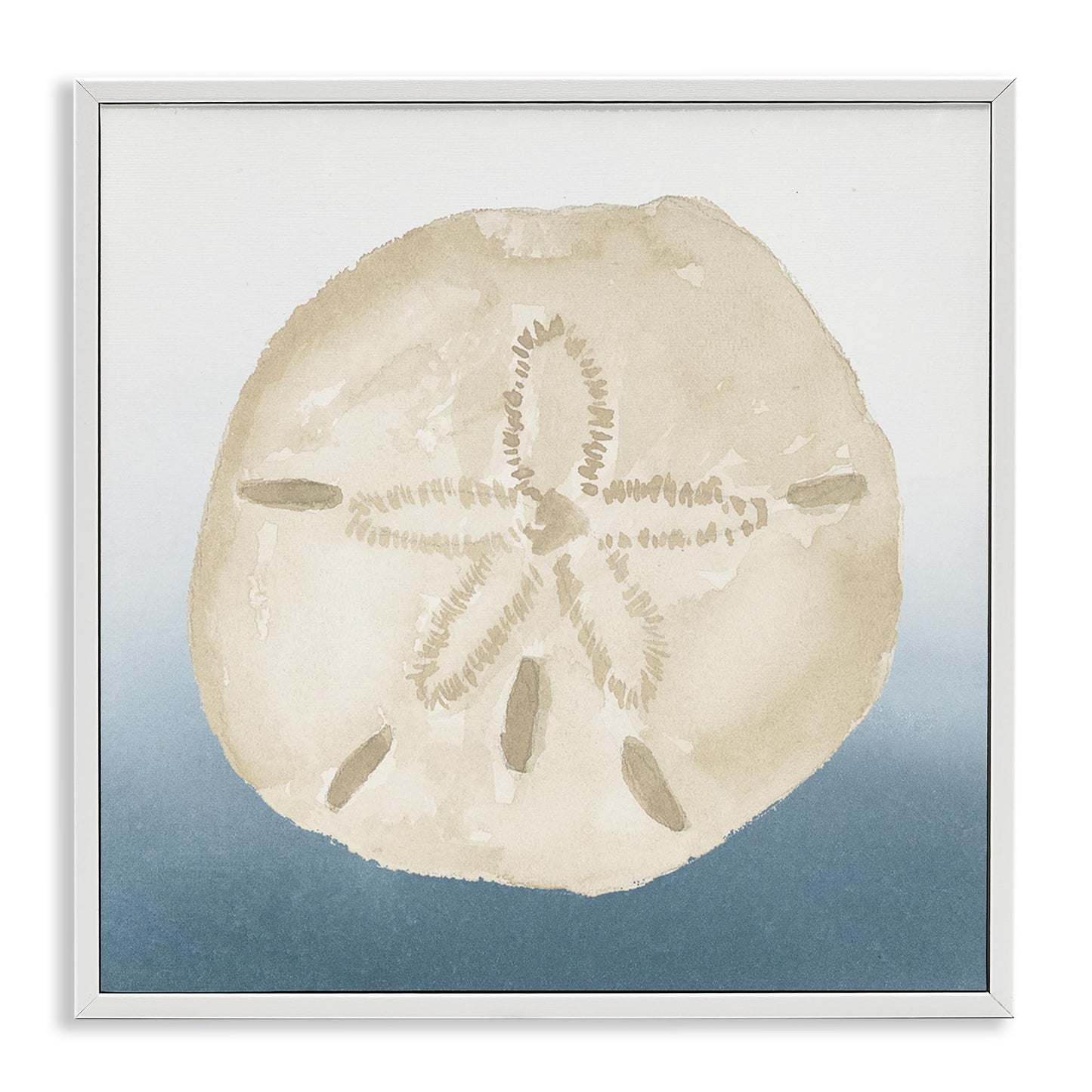 Stupell Industries 'Beige Sand Dollar Seashell', Framed Giclee Art, White, 12 x 12 Inches, Easy to Hang and Sturdy, Made in USA, by Lucille Price