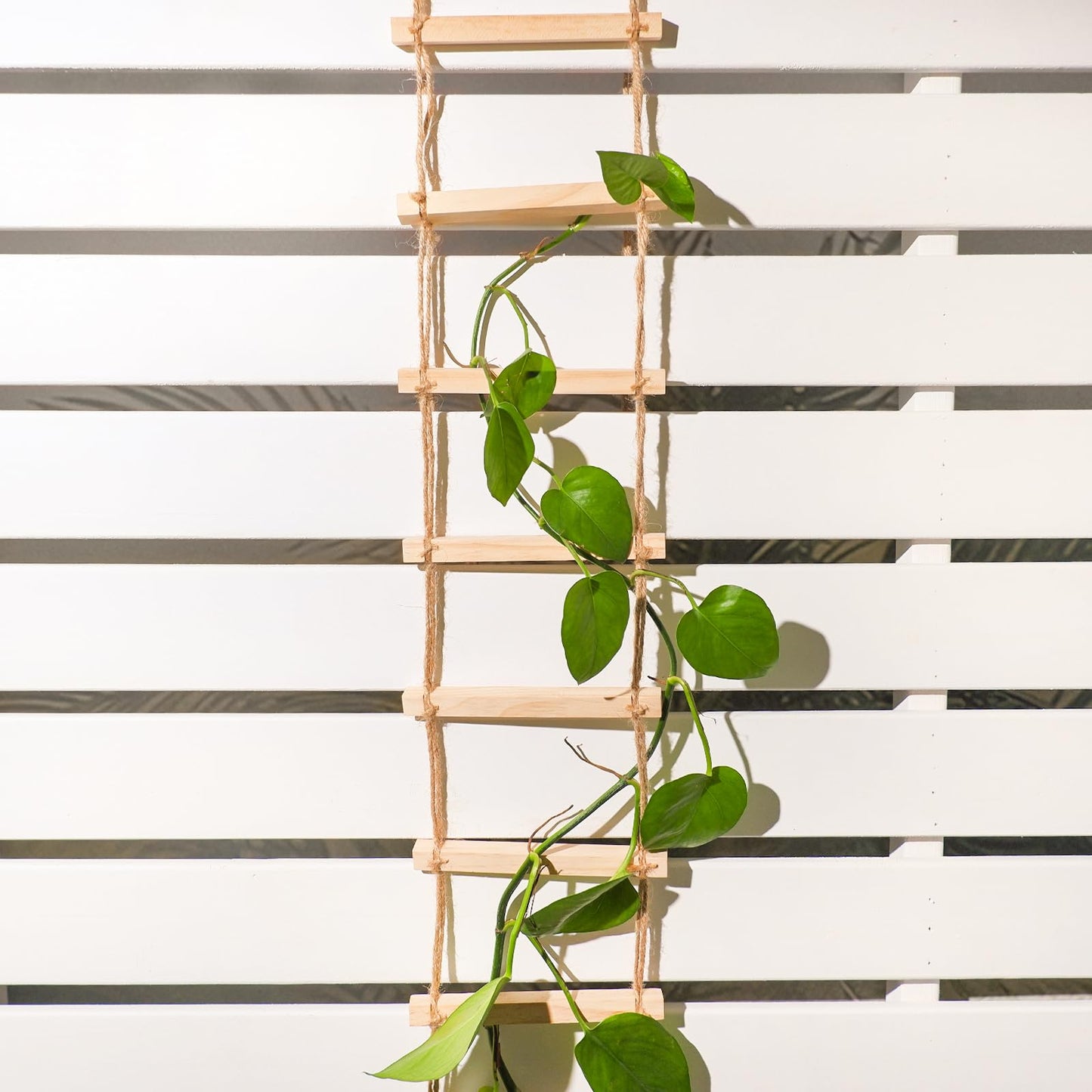 GOOOXIM Chain Trellis for Climbing Plants Indoor – Natural Wood Ladder Style Plant Support for Vines, Ideal for Pothos & Ivy, Stylish Modern Design for Home & Garden Use, Indoor/Outdoor
