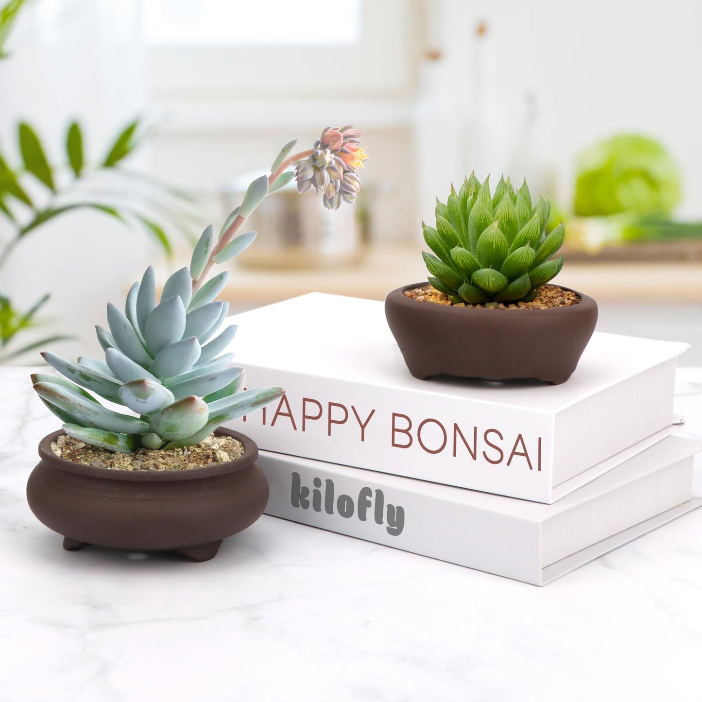 Bonsai Planter 2 pc 3.7" + 3.9" Unglazed Round Ceramic Succulent Pots Set