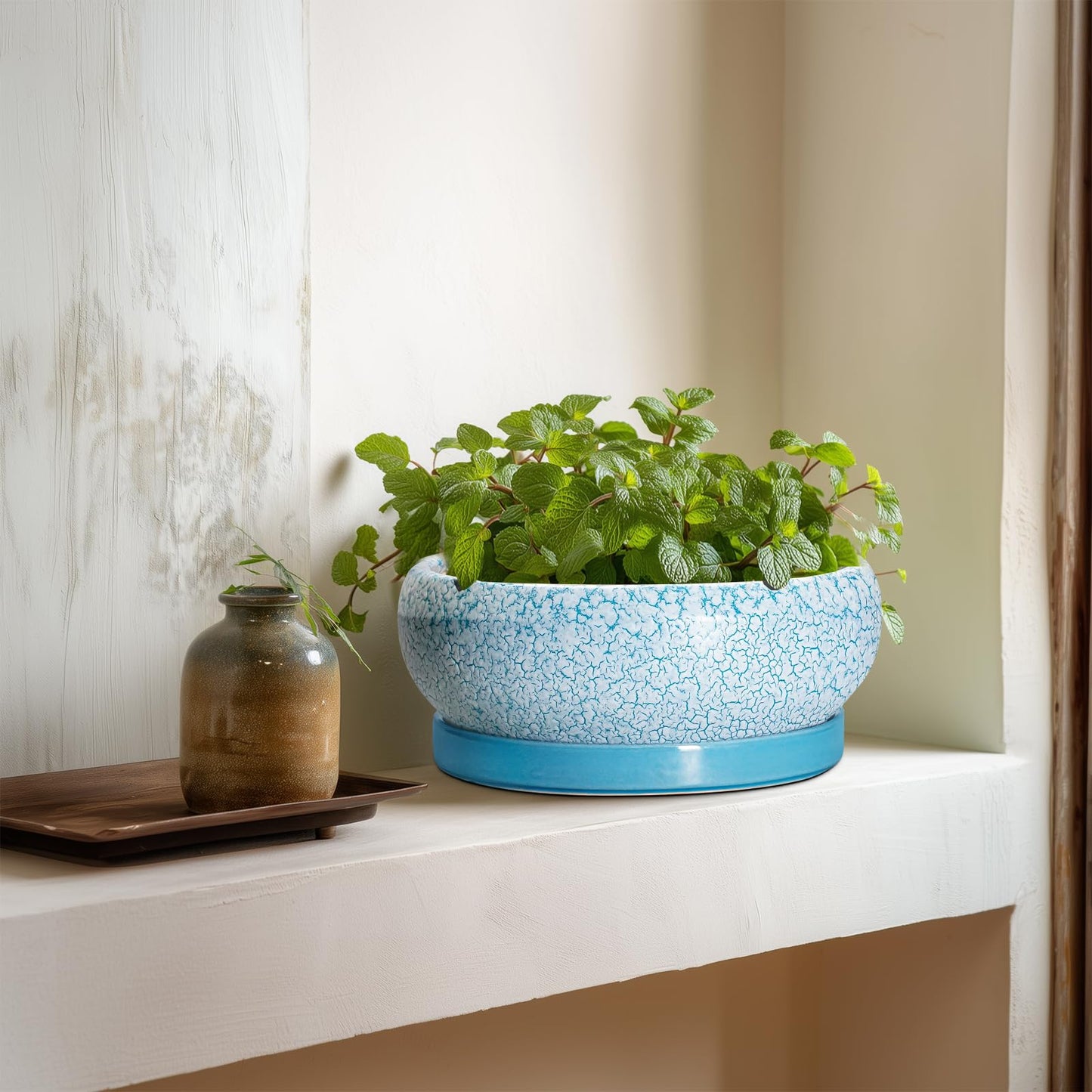 EPFamily Succulent Pots 8 Inch - Ceramic Bonsai Pots with Drainage Hole and Saucer, Succulent Planters for Indoor Plants Outdoor, Round Shallow Planter Bowl, Porch Decor, Gardening Gifts, Blue