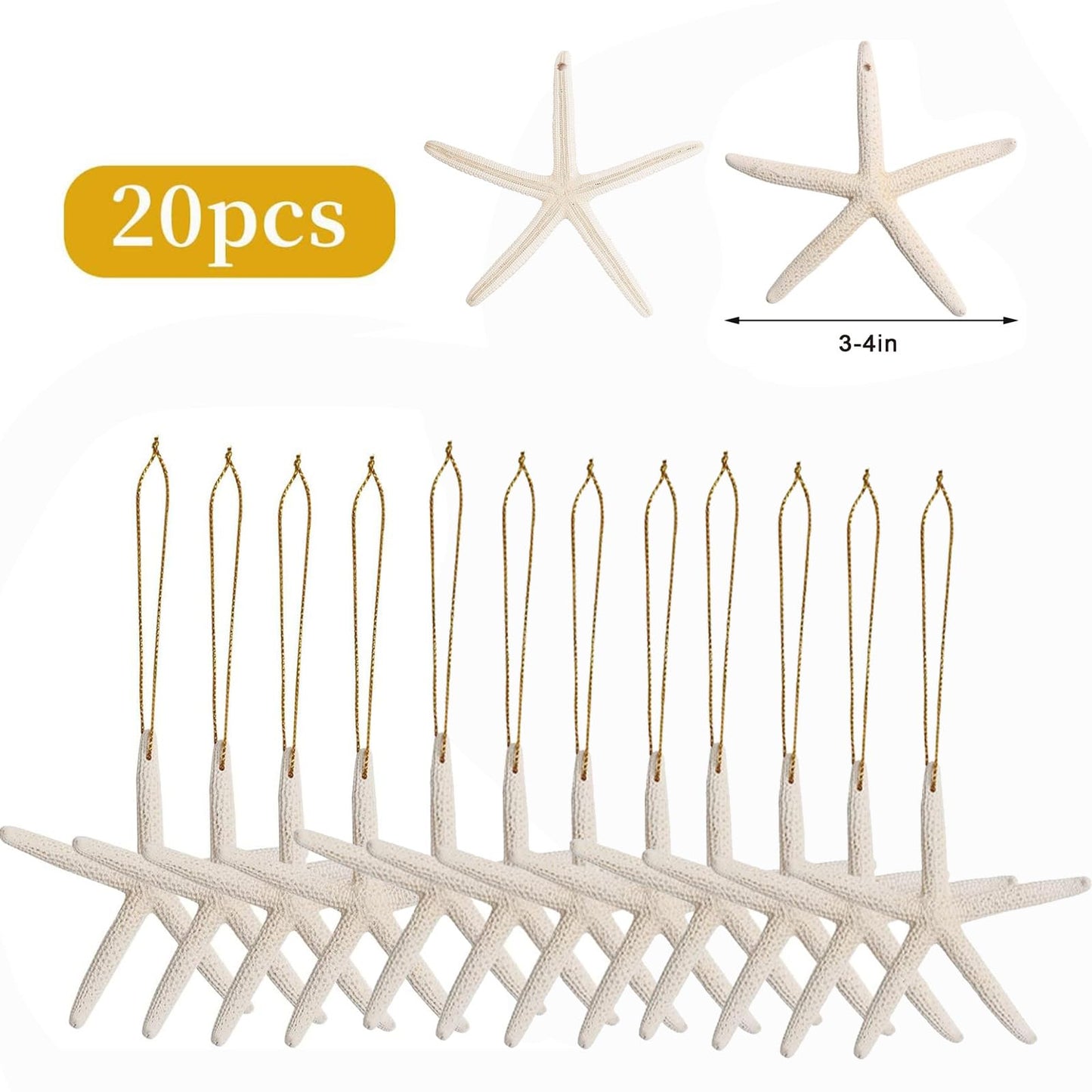 20PCS Christmas Starfish Ornaments Ready to Hang 3"-4'' Natural Starfish Decor with Drilled Holes & Hanging Rope for Christmas Tree Hanging Ornaments, Beach Theme Wedding Home DIY Crafts