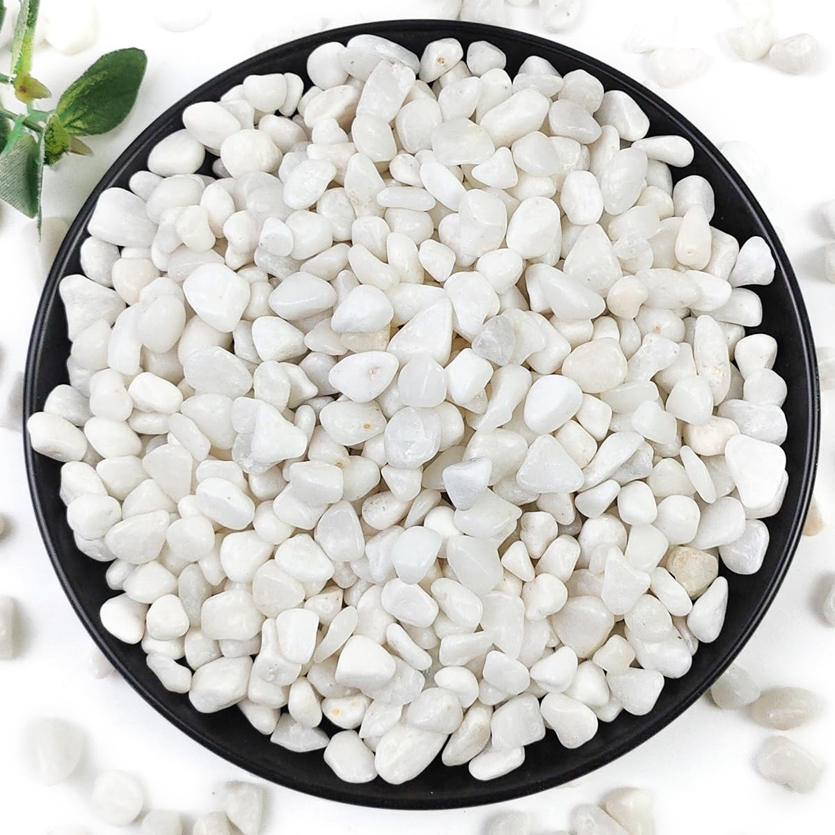 YISZM 10LB Succulent and Cactus Gravel Pebbles, 3/8 Inch Natural Decorative Polished Stones, River Rocks for Plants, Vases, Aquariums, Terrarium and Outdoor Gardening, White