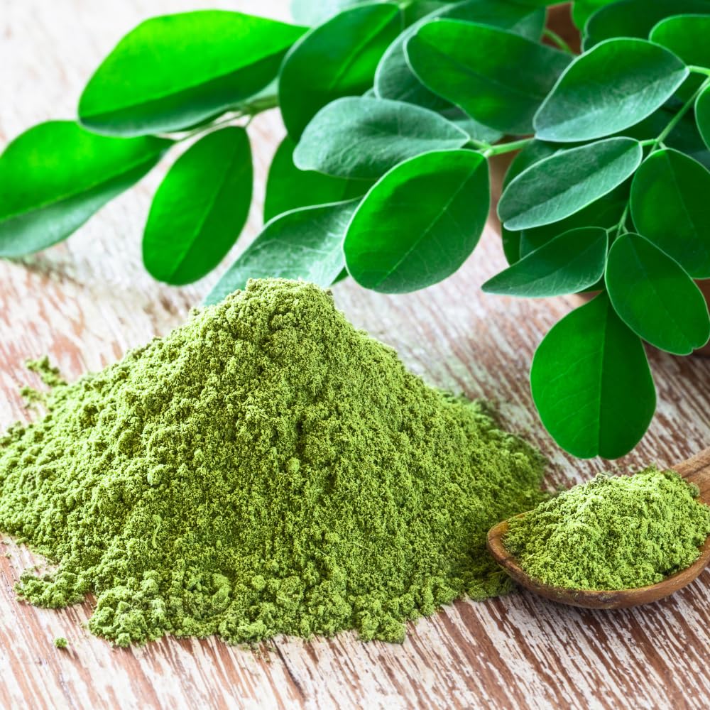 Moringa Tree Plant, 5 to 7 Inc, Live Moringa Plant for Garden, 4 Inc Pot, Growing Outdoor