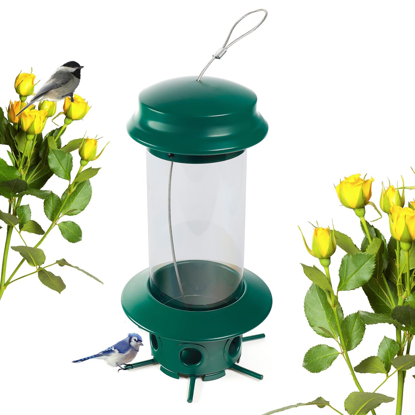 Nature's Rhythm Hanging Classic Tube Wild Bird Feeder Premium Hard Plastic Steel Hanger Weatherproof and Water Resistant