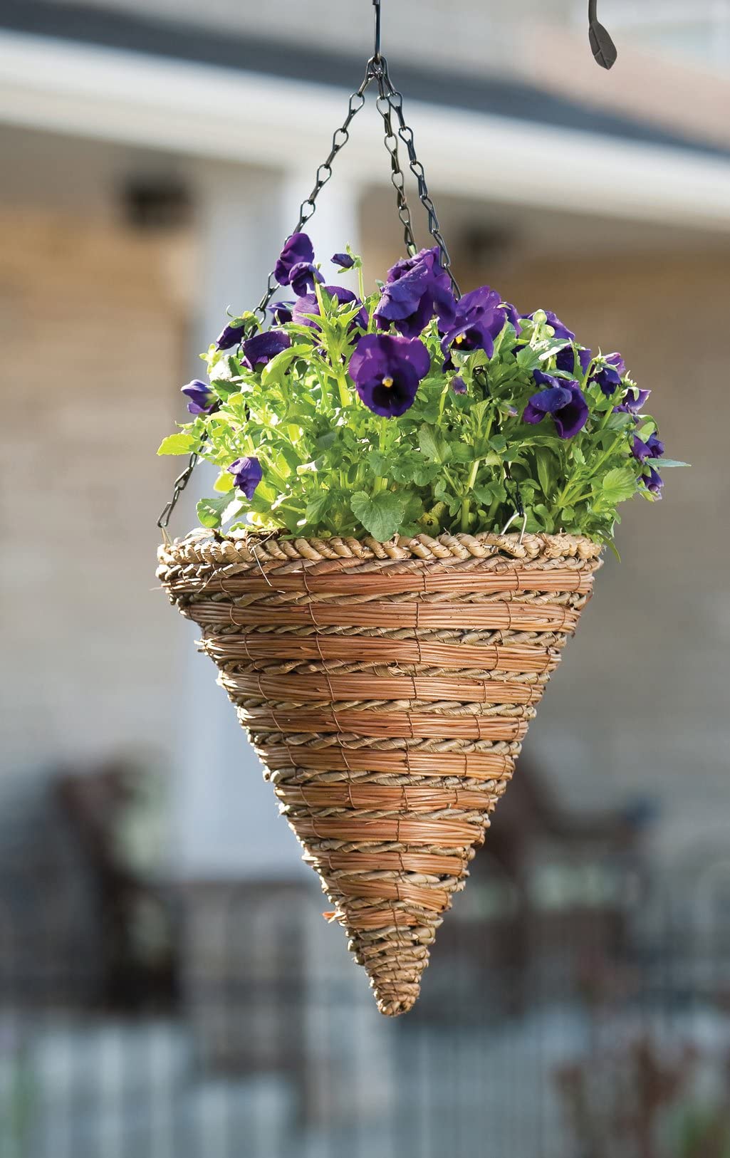 Green Thumb 12" Inch Rope & Fern Cone Shaped Hanging Basket Planter - Pack of (2)