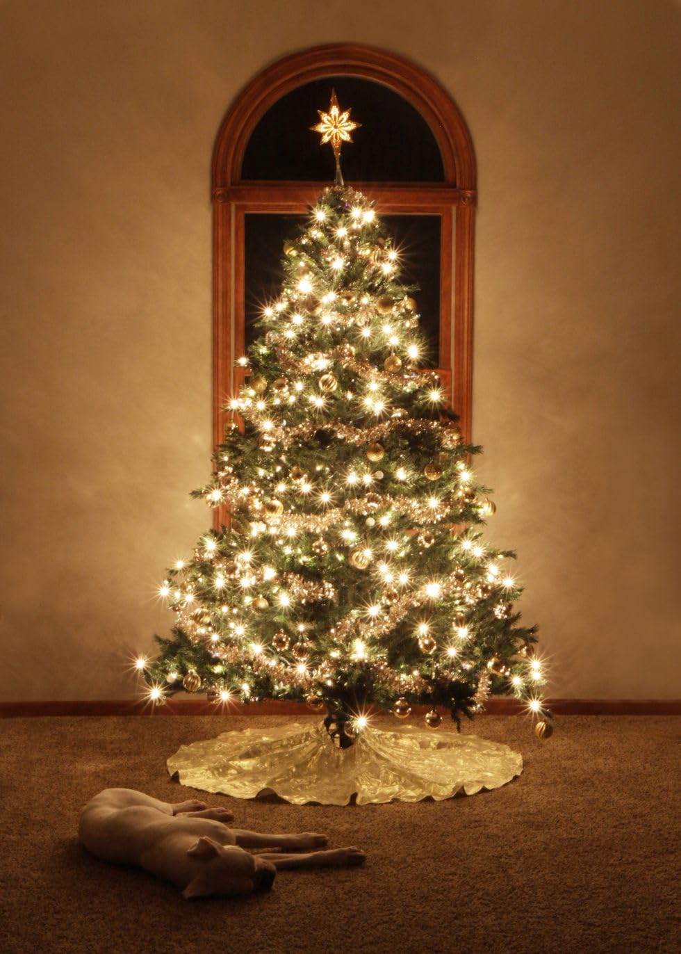 100 LED Slow Twinkle Lights, Soft Twinkling Christmas String Lights, UL Certified 27 Ft, Connect Up to 25 Sets, Indoor & Outdoor Christmas Decorations