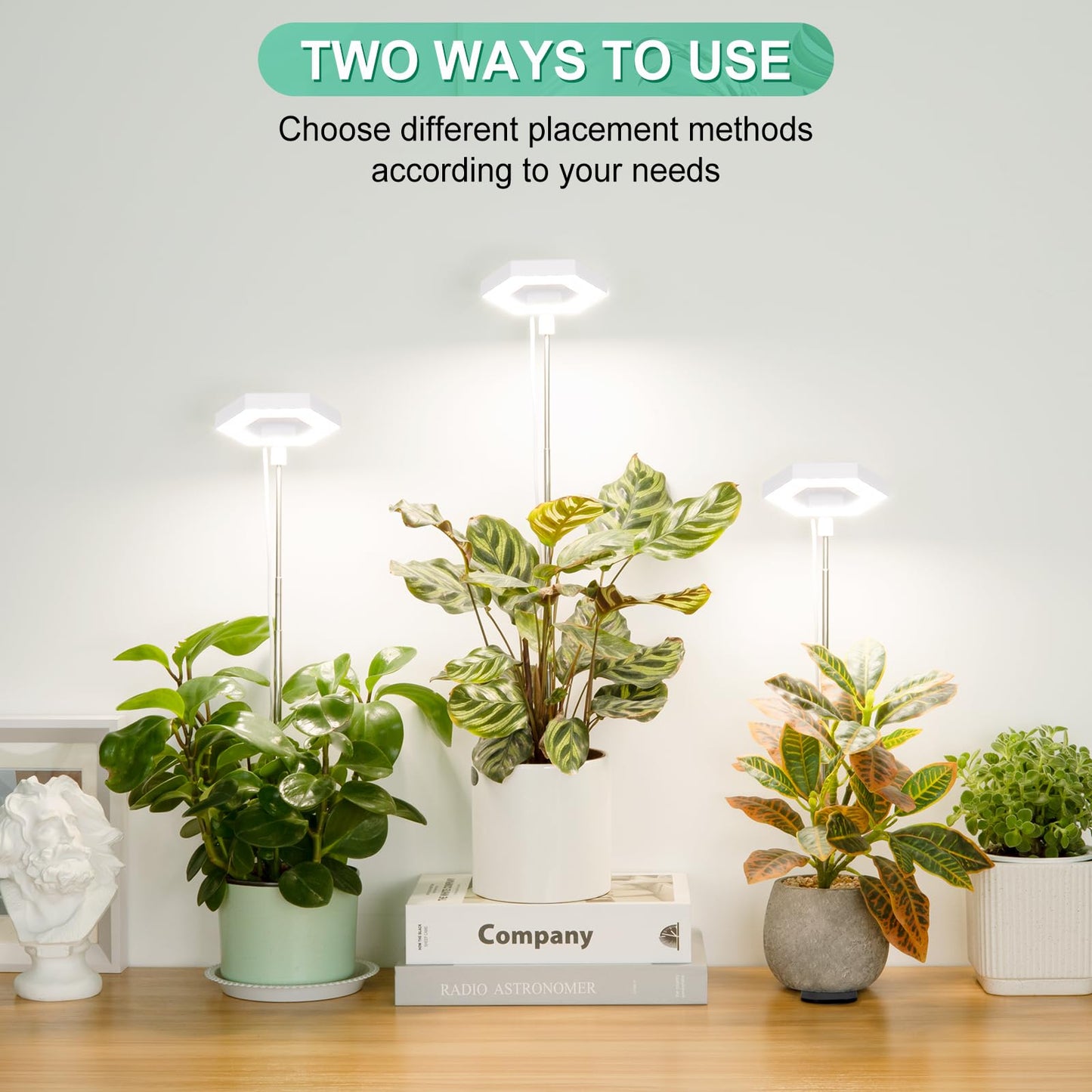 FOXGARDEN Plant Light, 126LEDs Grow Light for Indoor Plants, Full Spectrum Desk Growing Lamp with Detachable Base, Height Adjustable 7.8"-26" with Auto Timer 4H/8H/12H, 4 Dimmable Brightness, 3 Pack