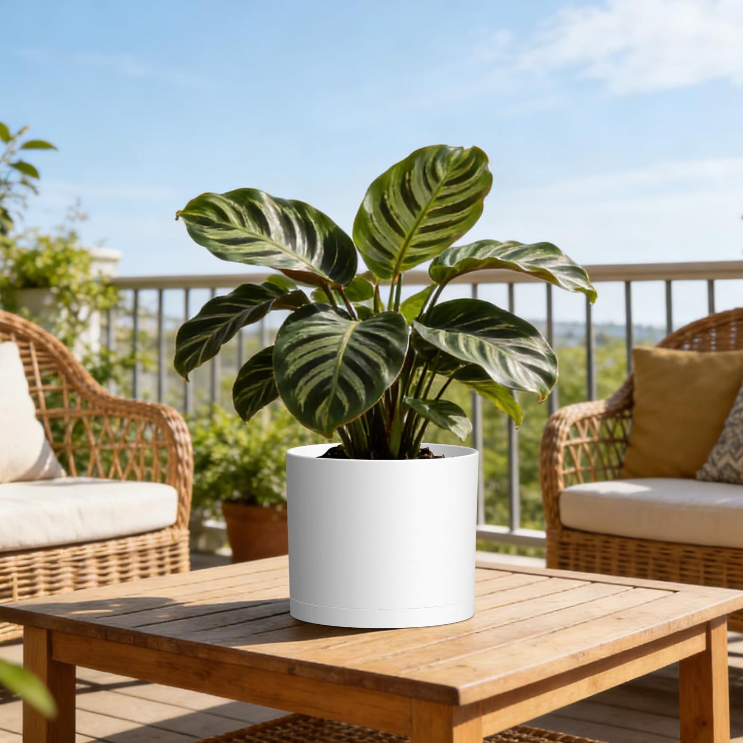 KUGAZ Plant Pots, 10/9/8 Inch 3 Pack Cylindrical Flower Pots with Drainage Holes and Saucers, Plastic Planters for Outdoor Indoor Plants,White