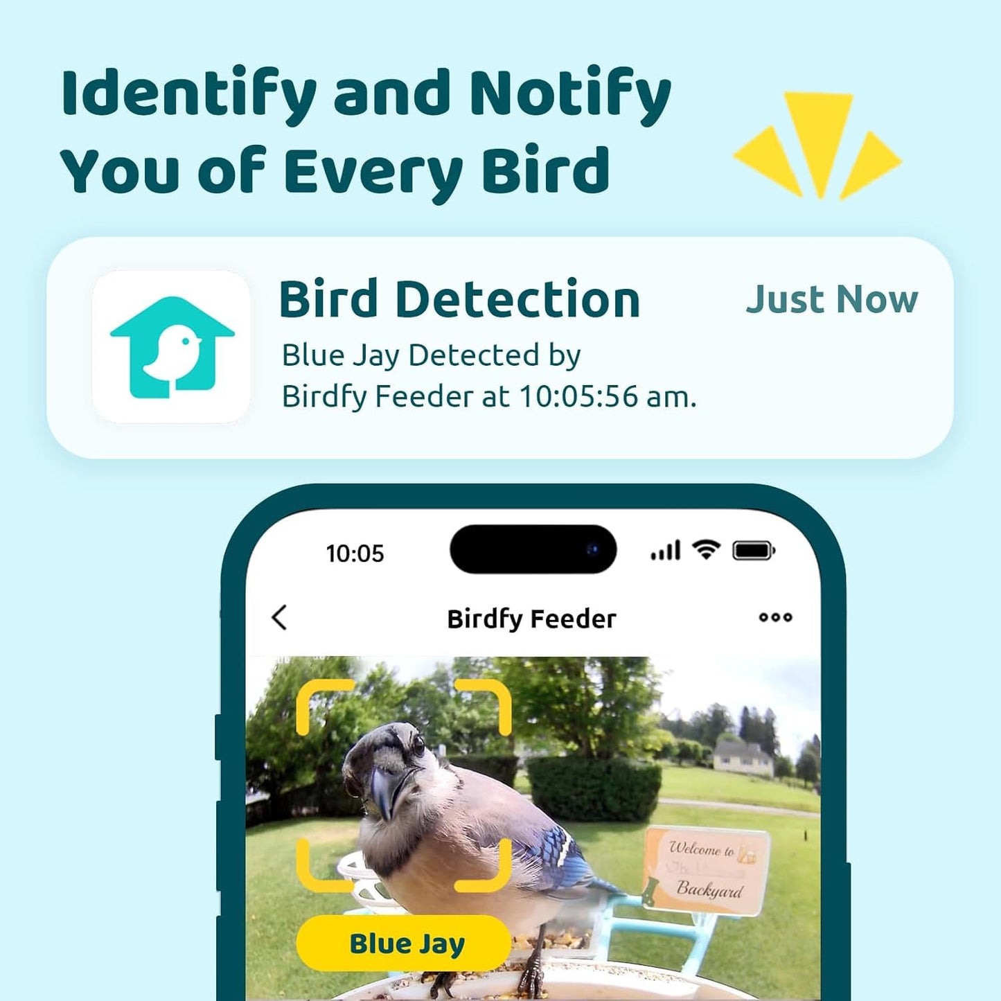 NETVUE by Birdfy Smart Bird Feeder with Camera Solar Power, Smart AI Birdwatching Camera, Auto Capture & Notify, Clear Day & Color Night Video & Pictures, Ideal Gift for Lover