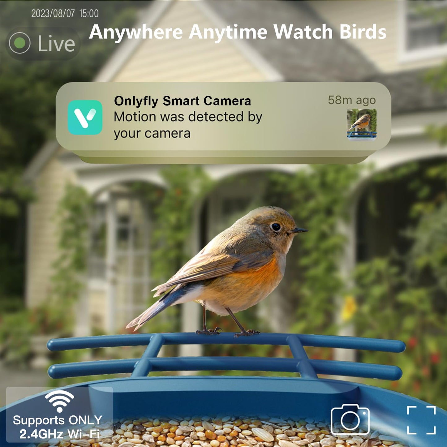 Bird Feeder with Camera Solar Powered : Smart Camera Bird Feeder 2K Live Feed Cam for Outdoor Backyard - Ai Identify Auto Capture Videos Pictures, Gifts for Birdlover Mom Dad, 2.4GHz WiFi