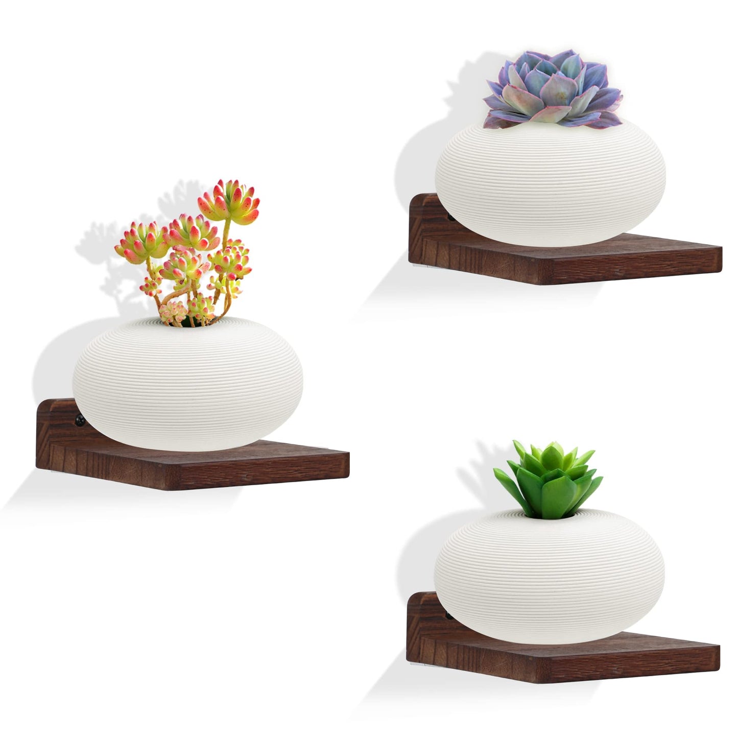 NIUBEST Small Floating Shelf,5x5 Inch Dark Walnut,Set of 3 Small Wall Shelves for Bedroom Living Room Bathroom Kitchen Decor