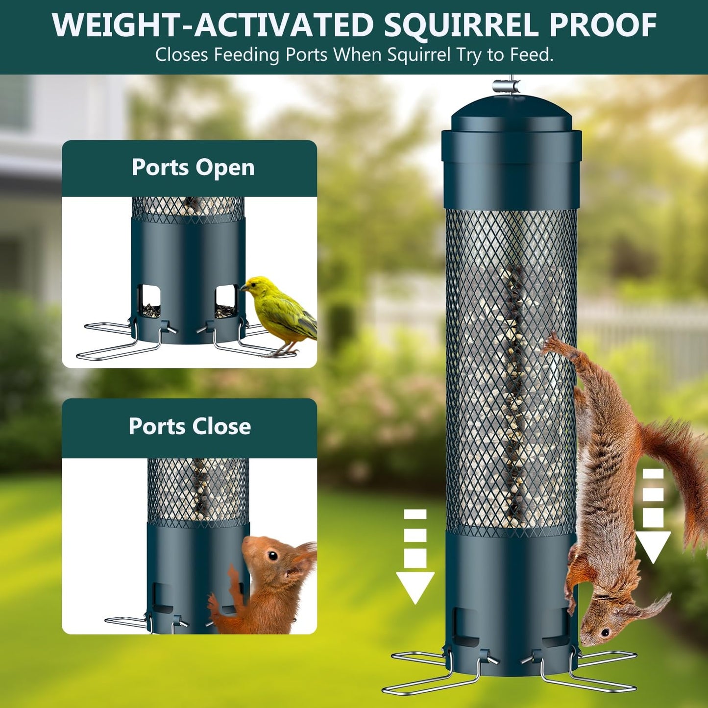 LCSEVEN Bird Feeders for Outdoors Squirrel Proof with Weight-Activated Perches, Hanging Bird Feeder for Outside, Metal Feeder for Wild Cardinal, Finch, Blue Jay, Chickadee, 3LB Seed Capacity, Green