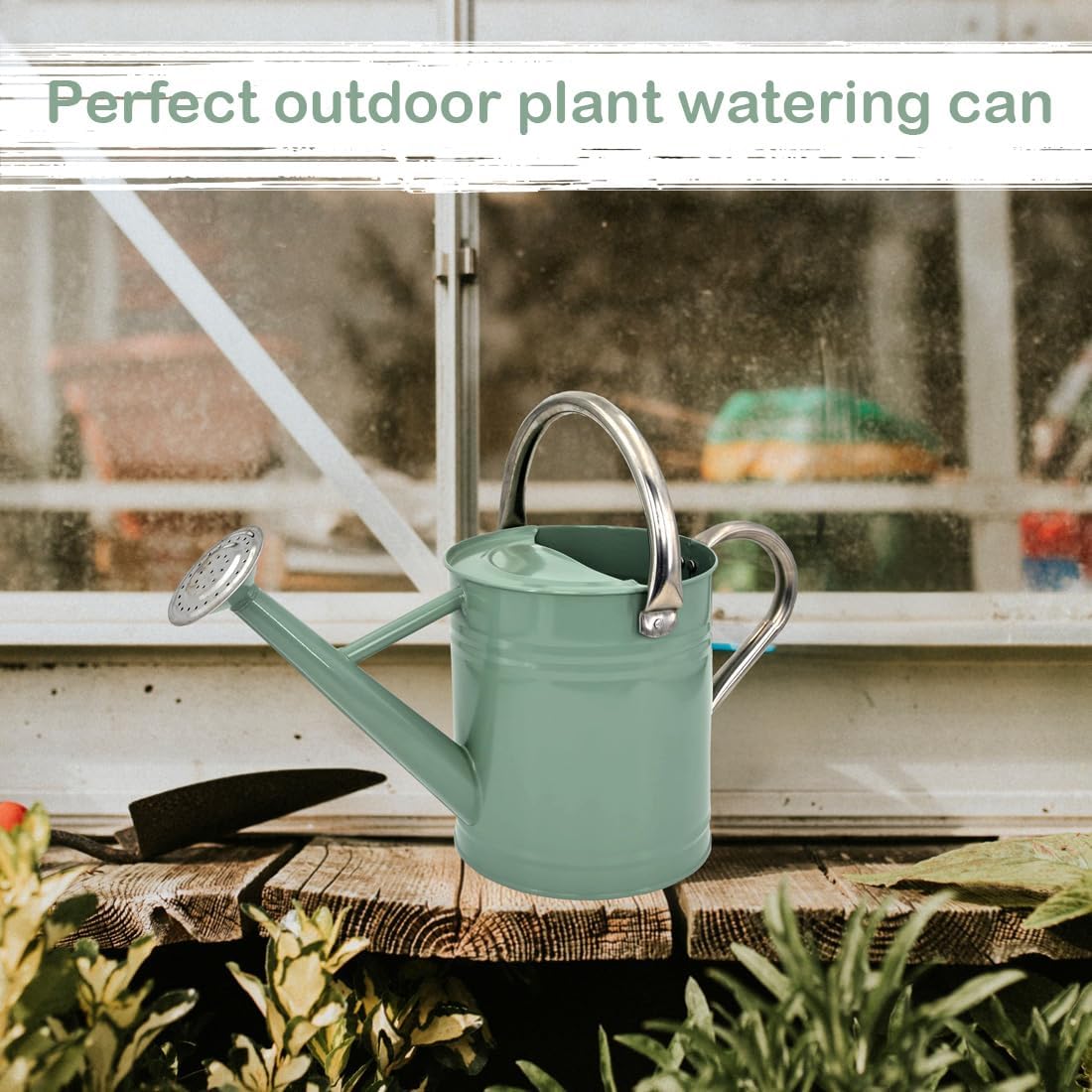 Metal Watering Can 1 Gallon with Removable Spout, Ideal Plant Watering Can for Indoor and Outdoor Plants (One Gallon Creamgreen)