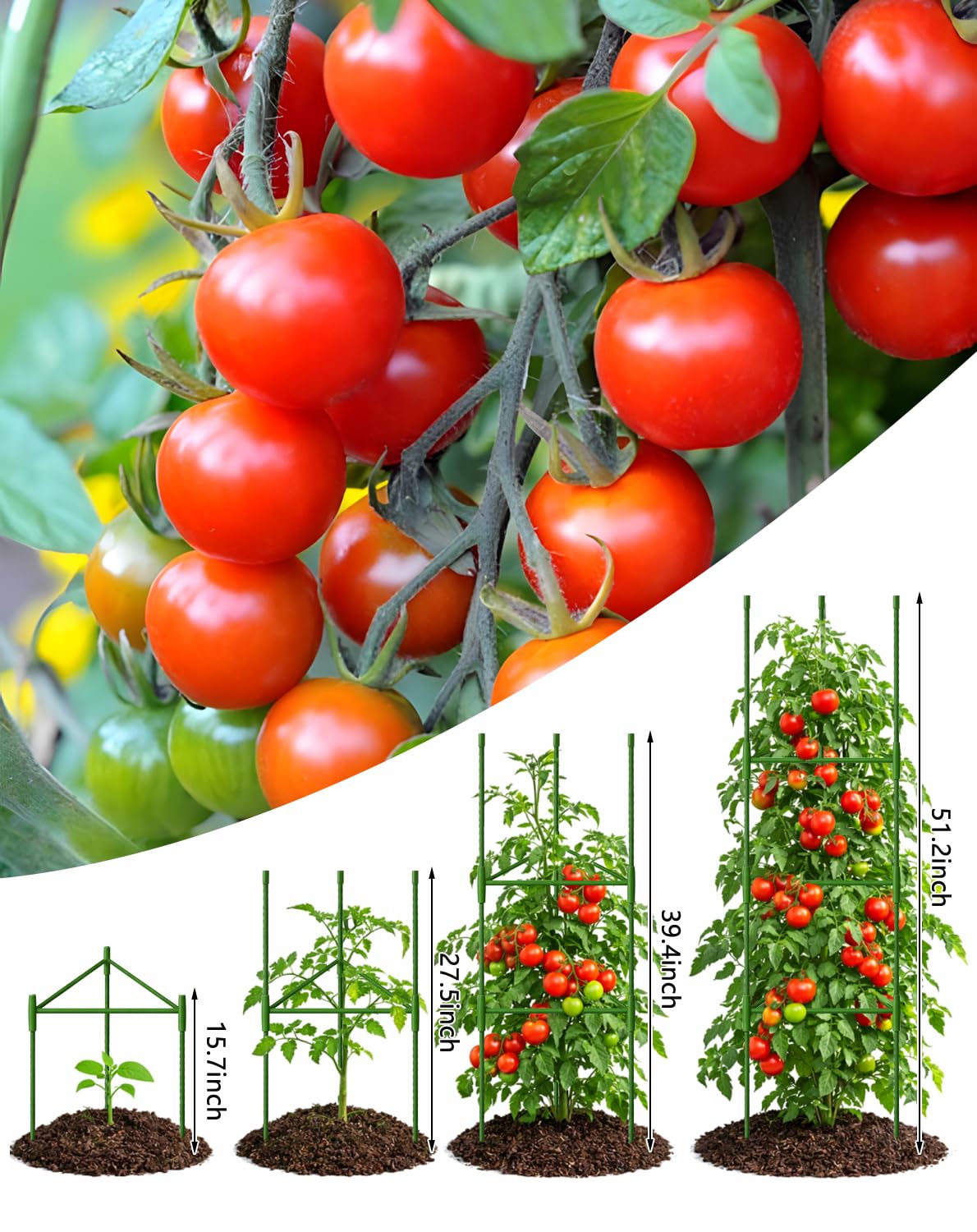 Growsun 51 inch Tomato Cage Heavy-Duty Plant Support Cucumber & Vine Vegetables – Adjustable Green Metal Garden Trellis for Climbing Plants, Indoor & Outdoor Use, 1 Pack