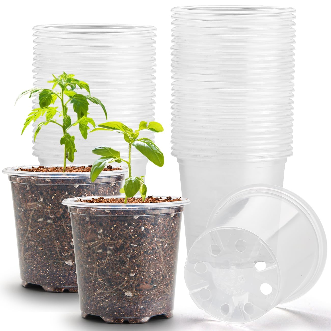 RooTrimmer 3.5" Clear Seeding Pots 100-Pack Round for Seeds Starter Pots, Seeds Germination Transparent Nursery Pots with Drainage Holes (100PCS)