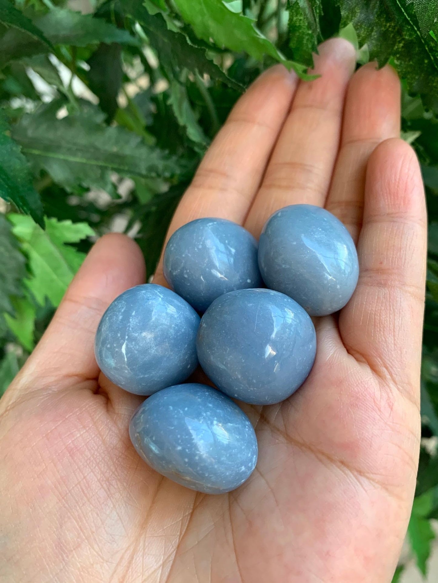 GAF TREASURES 5 Pcs Angelite Tumbled Stones, Polished Angelite Gemstone, Angelite Healing Crystals (Angelite)