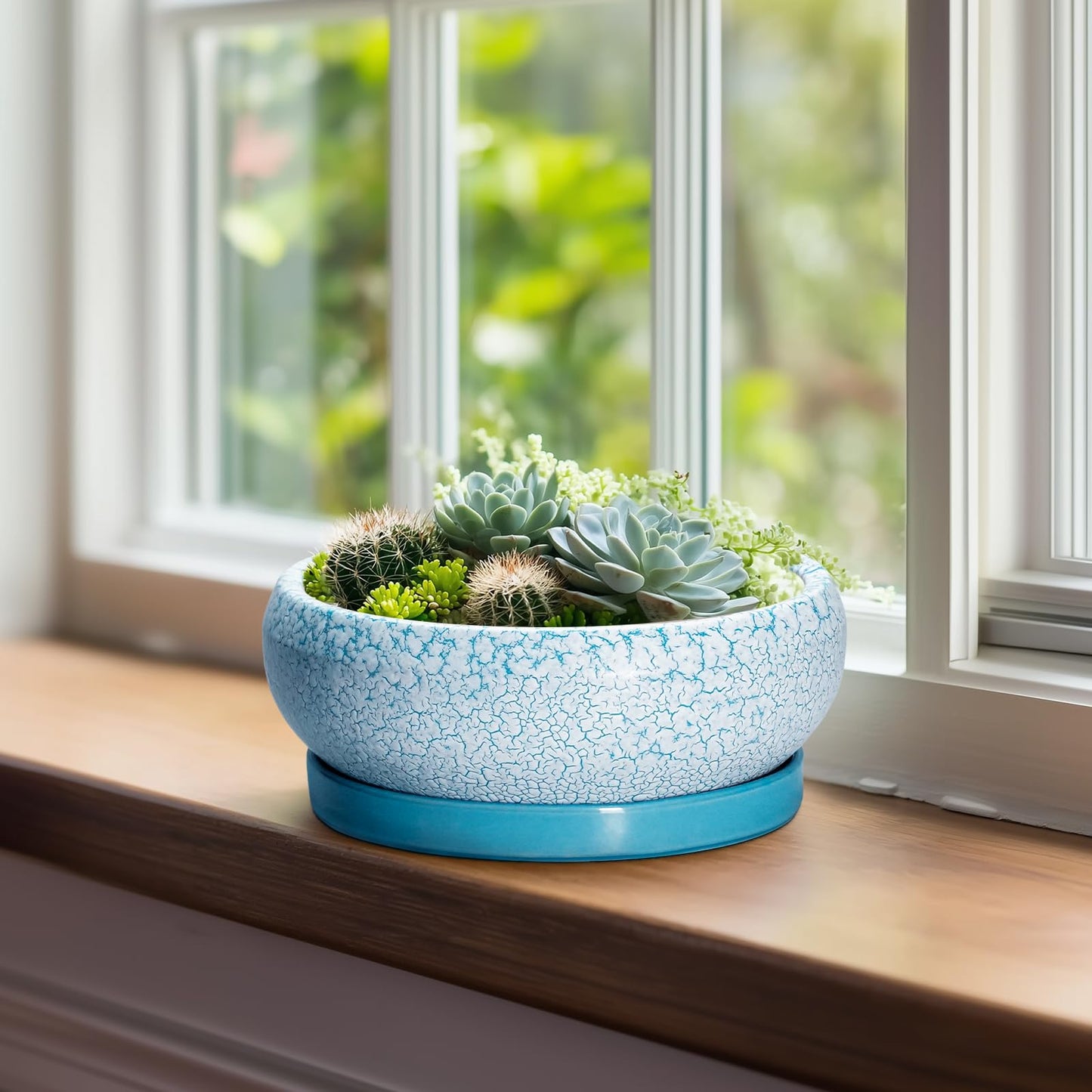 EPFamily Succulent Pots 8 Inch - Ceramic Bonsai Pots with Drainage Hole and Saucer, Succulent Planters for Indoor Plants Outdoor, Round Shallow Planter Bowl, Porch Decor, Gardening Gifts, Blue