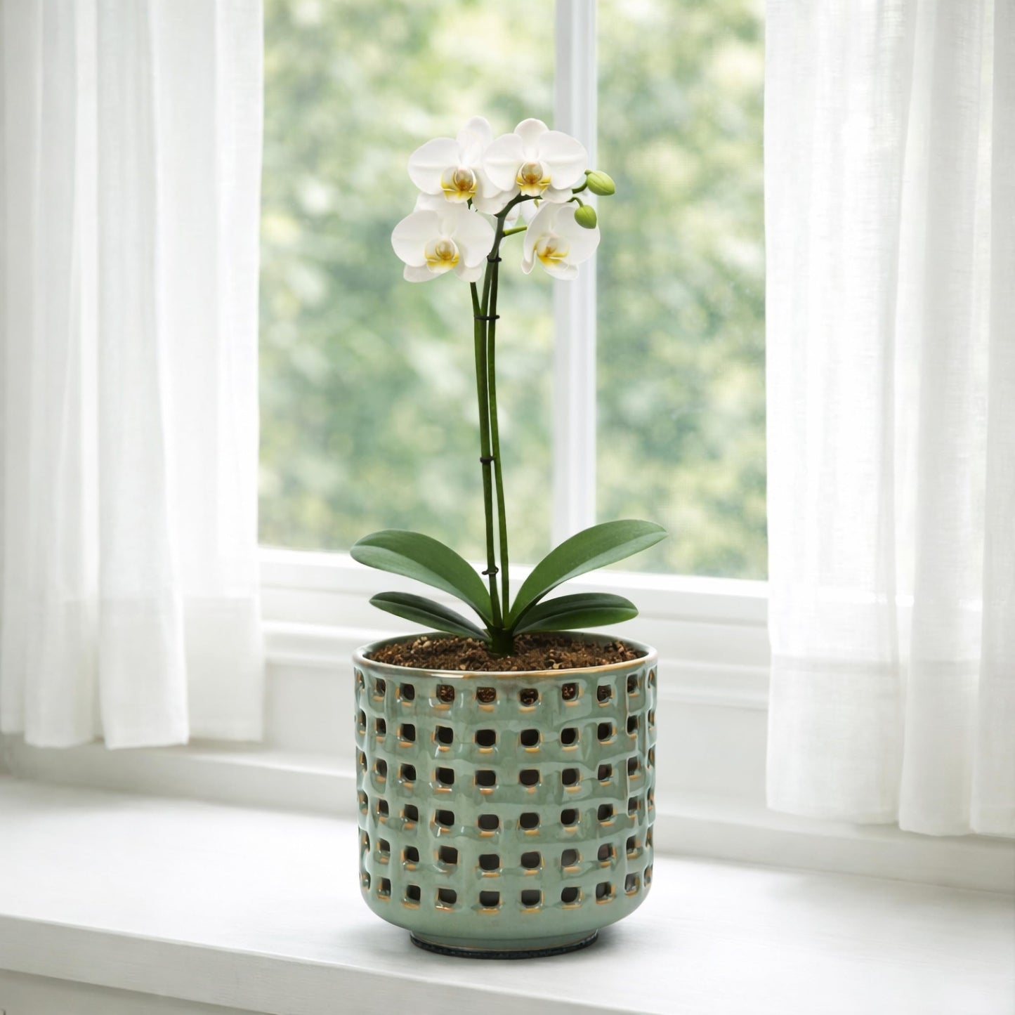 D'vine Dev 4.5 Inch Ceramic Orchid Planter with Lattice Cutout Design, Glazed Cachepot with Clear Nursery Pot & Detachable Saucer for Orchids and Indoor Plants, Olive, 28-A-Z-4