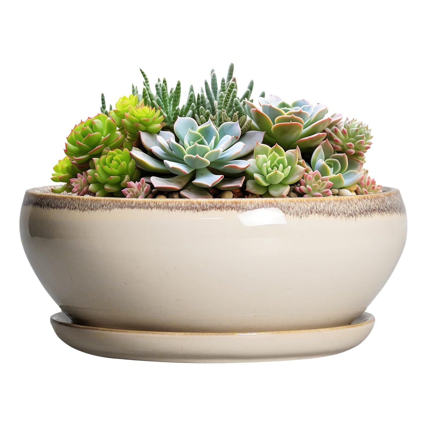 SQOWL Succulent Pots 8 Inch - Ceramic Bonsai Pots for Indoor Plants, Round Shallow Plant Pot with Drainage Hole and Saucer, Bowl Planter Outdoor, Patio Decor, Plant Lover Gifts, Beige