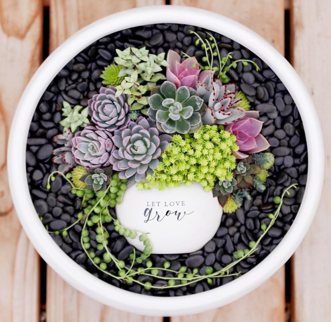5LB Black Pebbles for Indoor Plants, Vases, Succulent, 3/8 Inch Small Black Rocks for Plants, Polished & Decorative